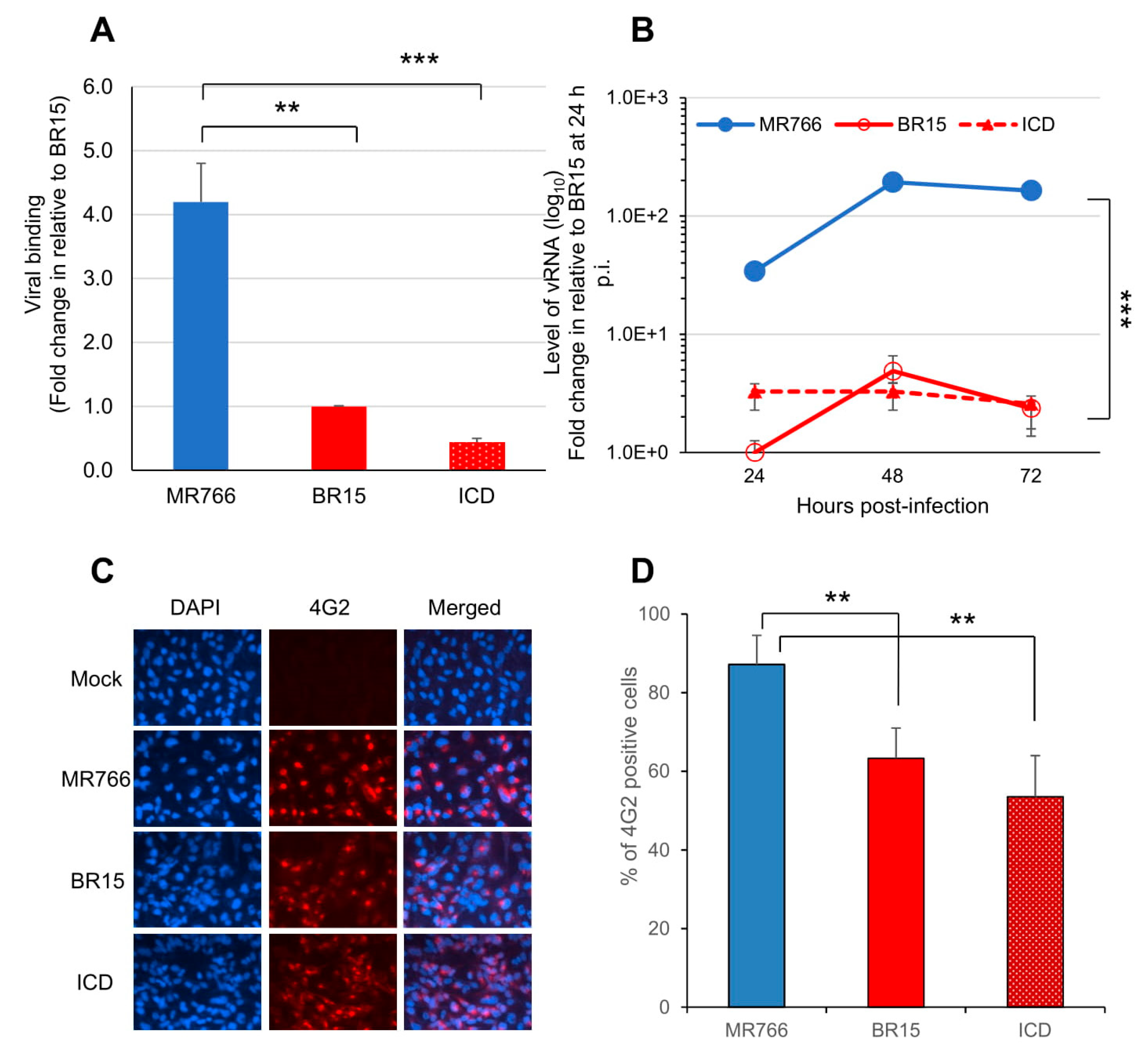 Viruses 11 00157 g001 Viruses 11 00157 g001