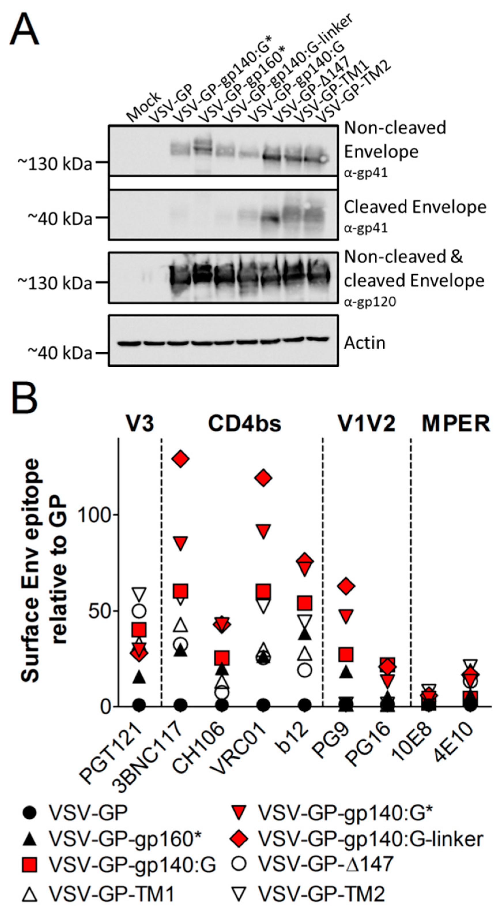 Viruses 11 00159 g003 Viruses 11 00159 g003