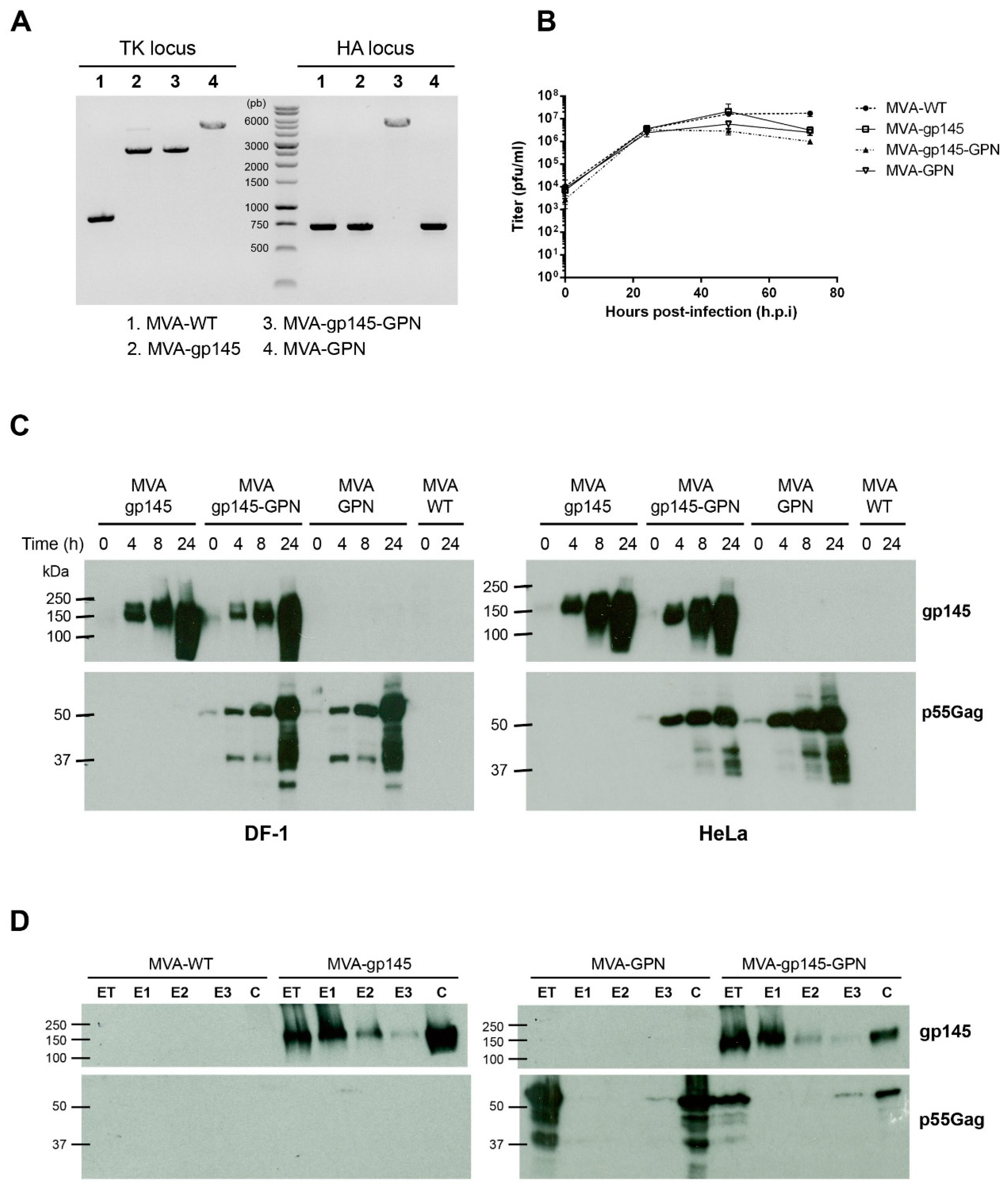 Viruses 11 00160 g001