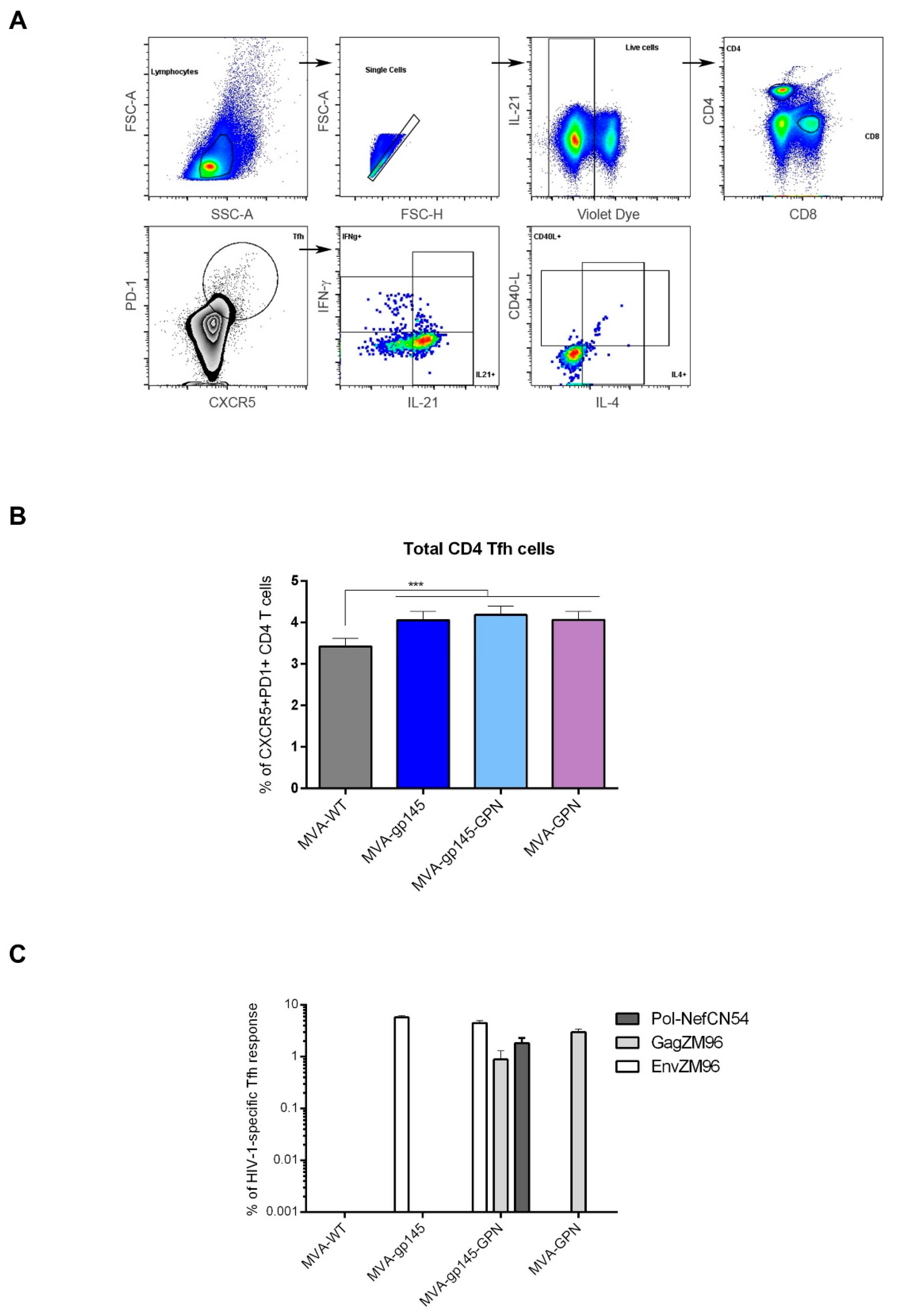 Viruses 11 00160 g004