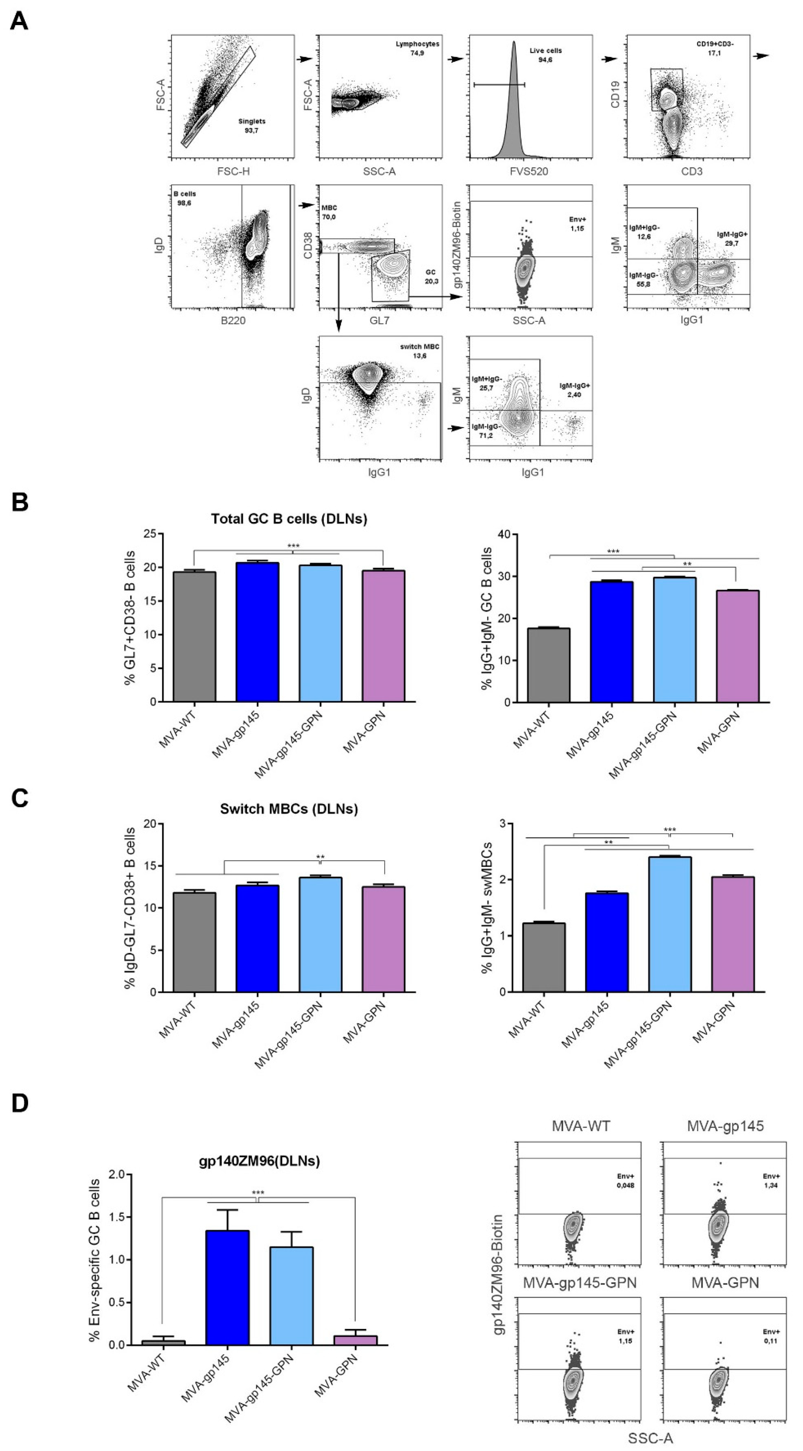 Viruses 11 00160 g005