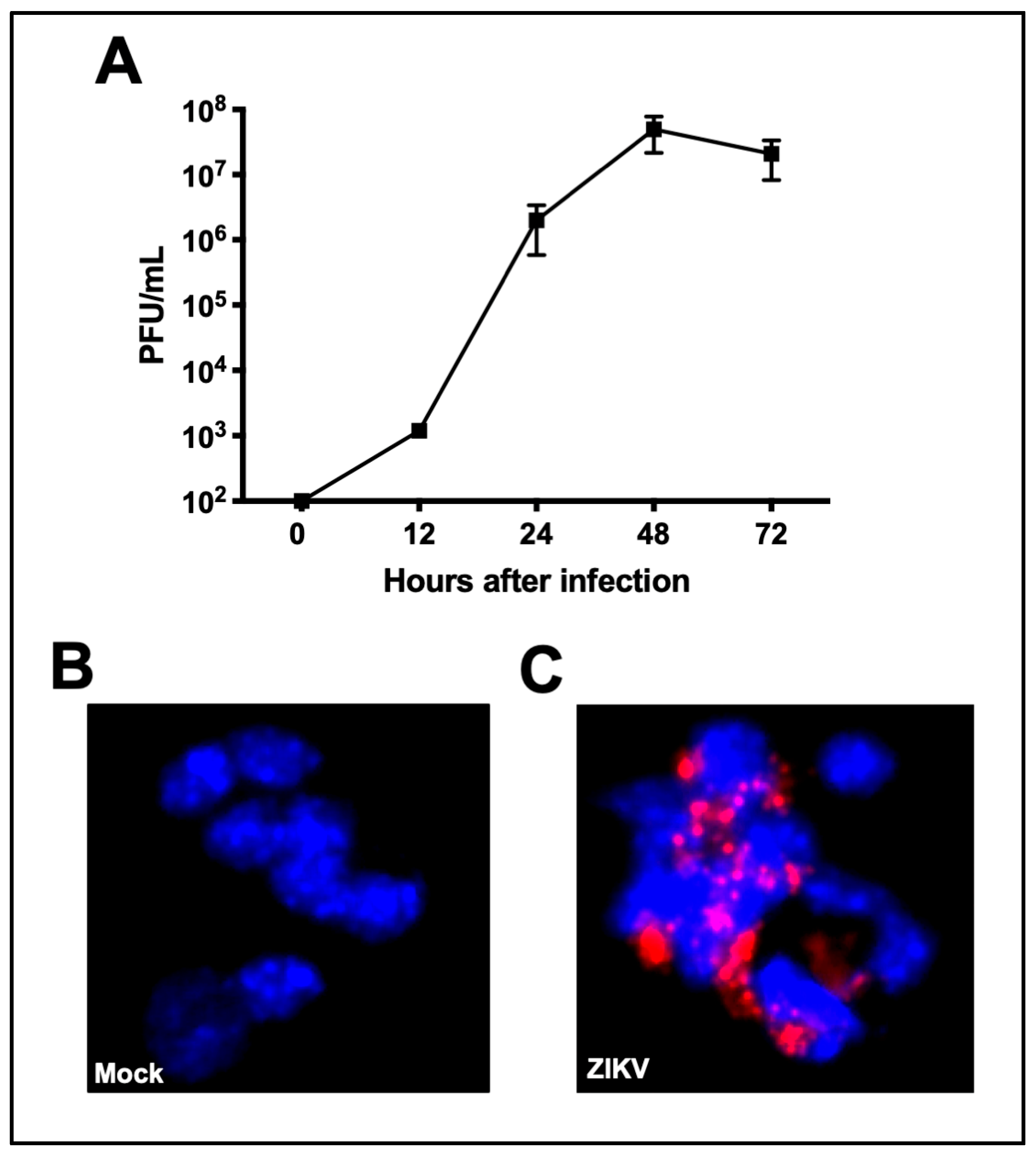 Viruses 11 00162 g001 Viruses 11 00162 g001