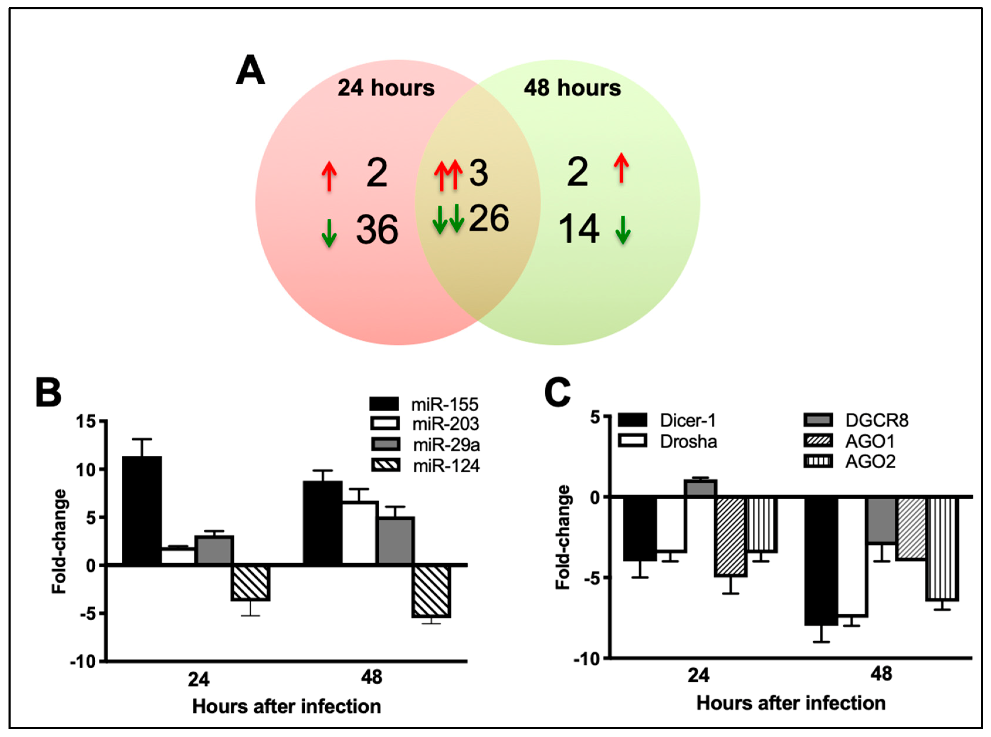 Viruses 11 00162 g002 Viruses 11 00162 g002