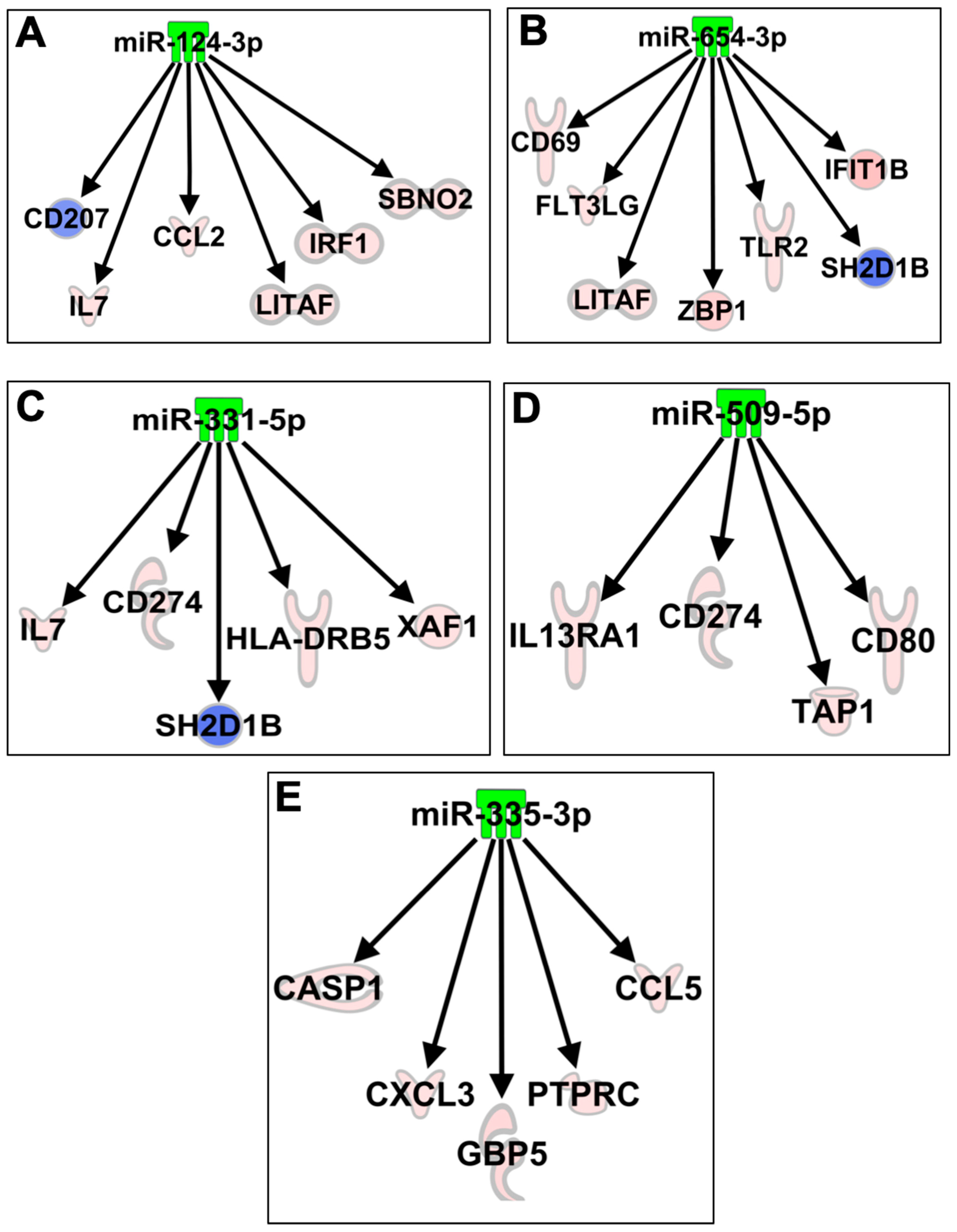 Viruses 11 00162 g007 Viruses 11 00162 g007