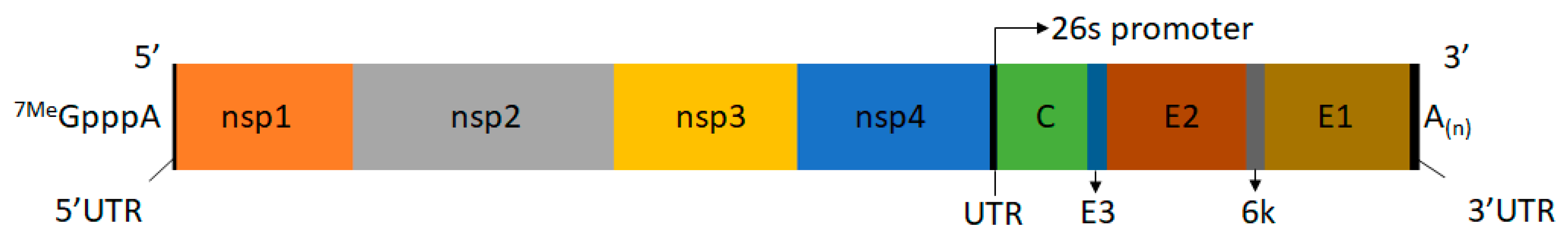 Viruses 11 00164 g003