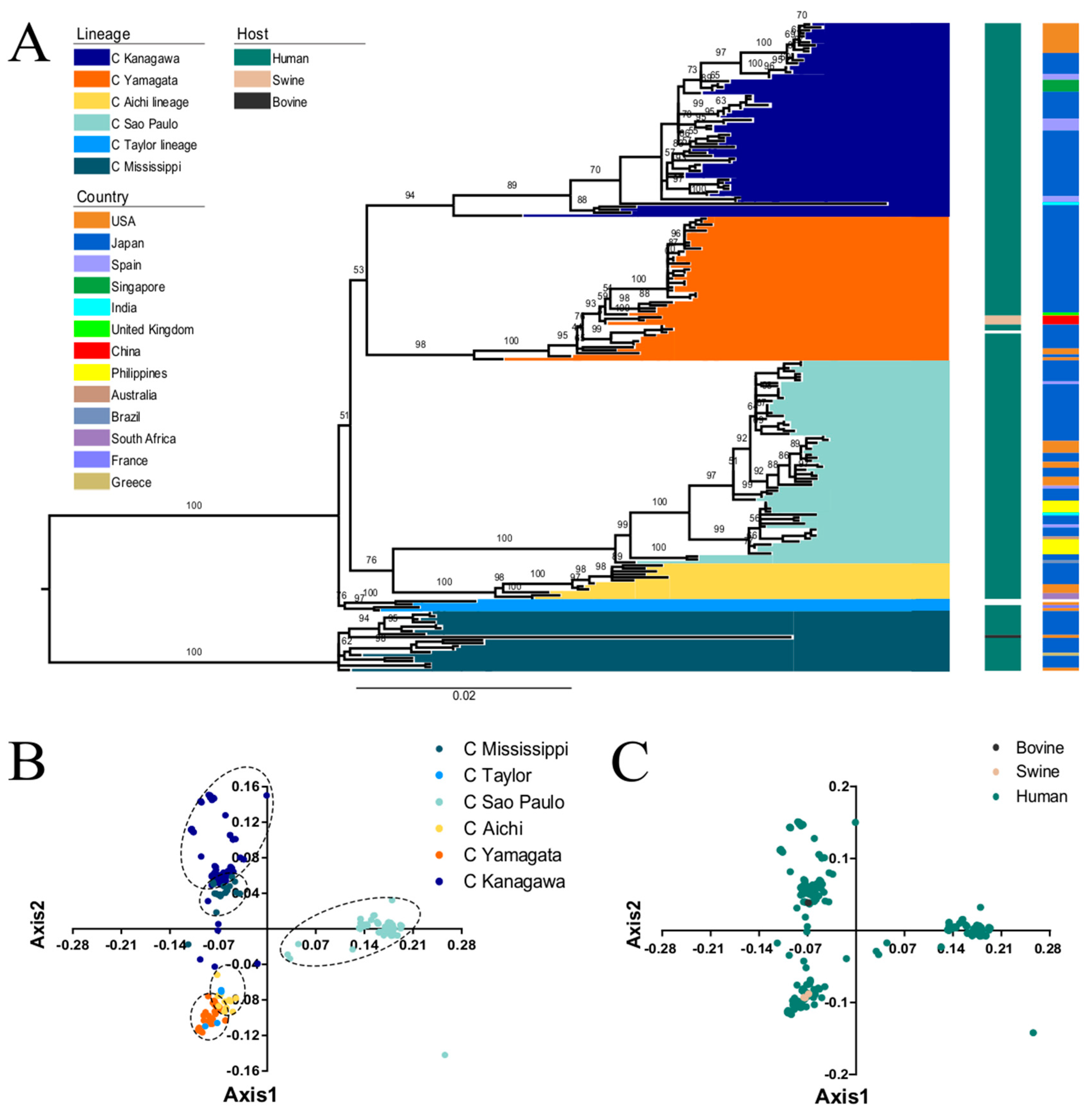 Viruses 11 00167 g001 Viruses 11 00167 g001