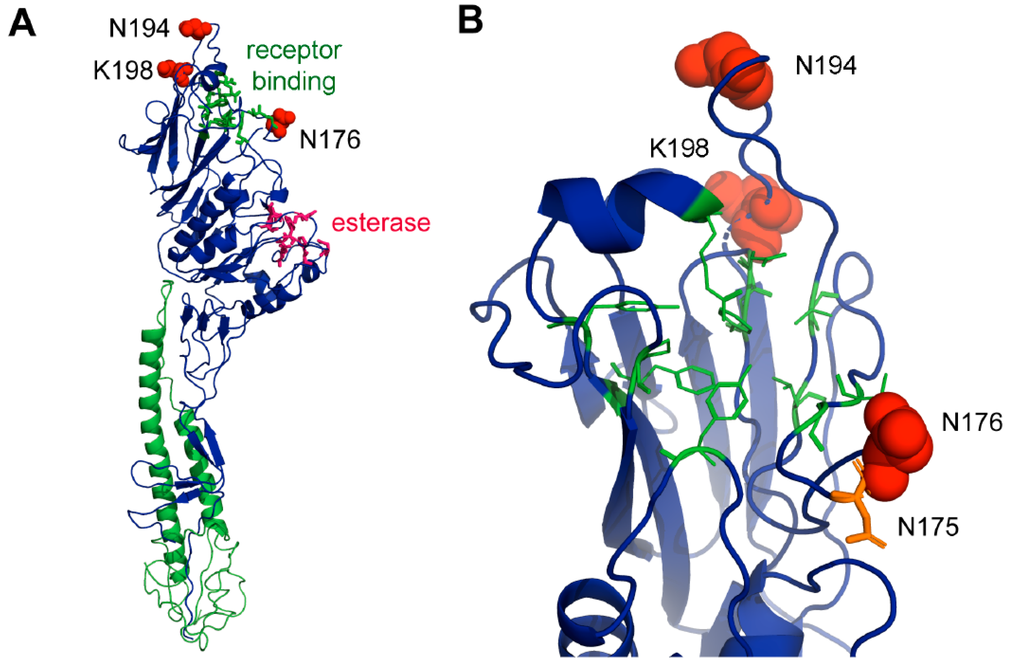 Viruses 11 00167 g007 Viruses 11 00167 g007