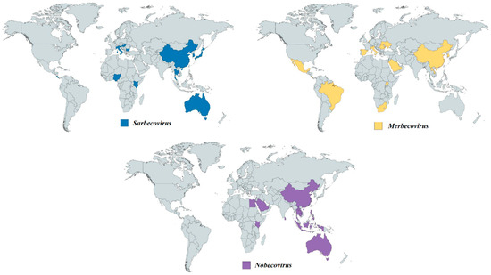 N Dipeptidyl peptidase 4 interacts with porcine coronavirus