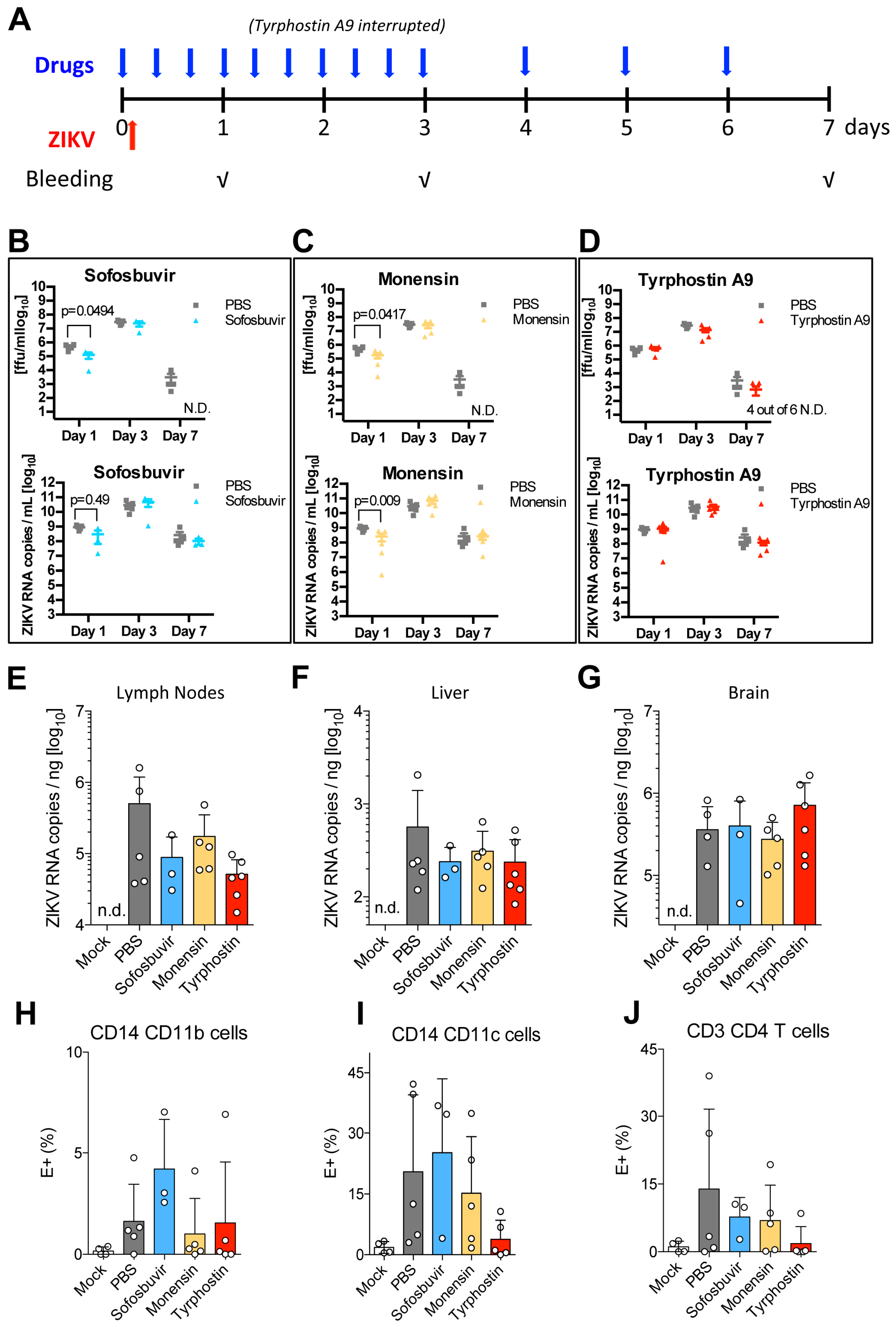 Viruses 11 00176 g005