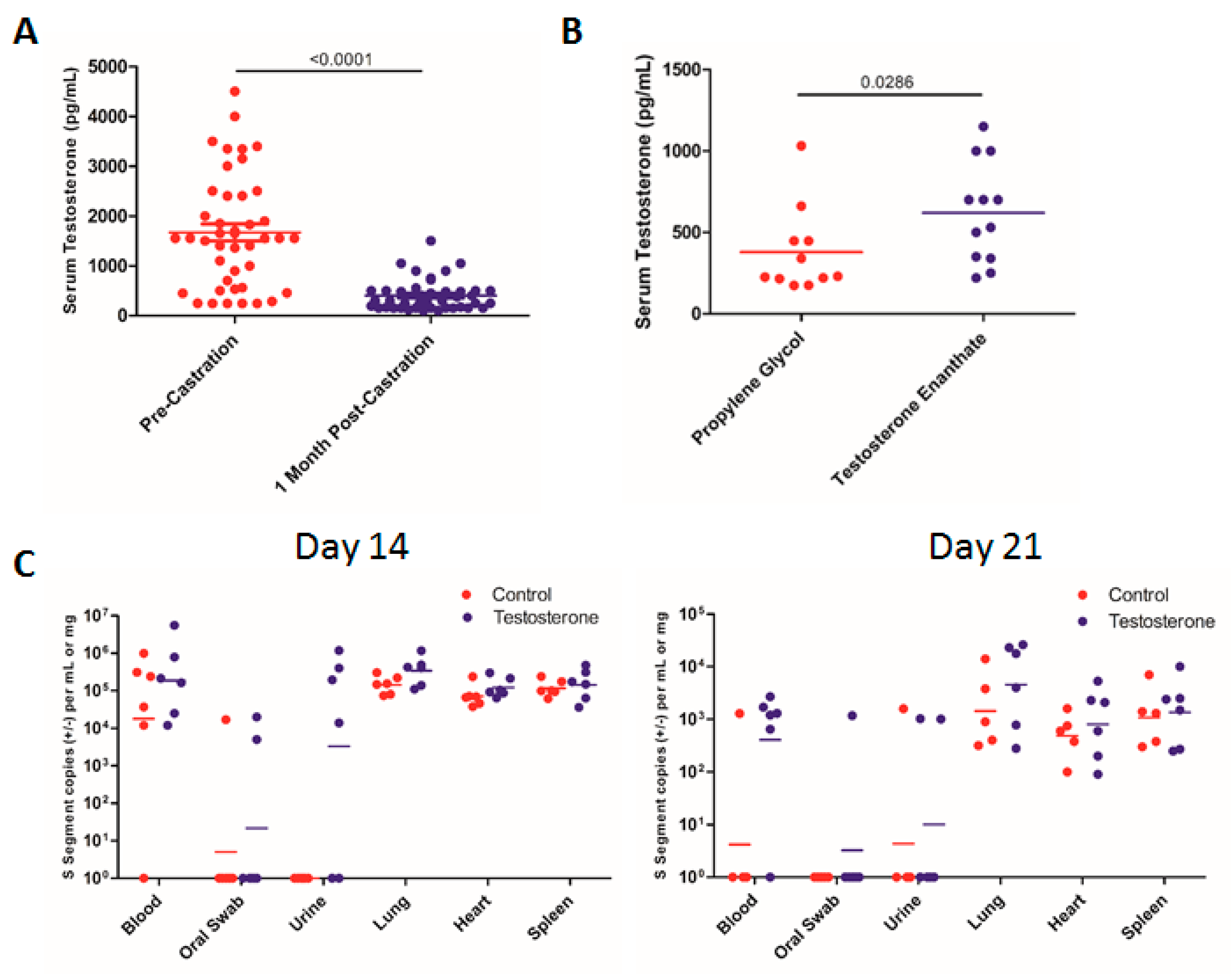 Viruses 11 00183 g004
