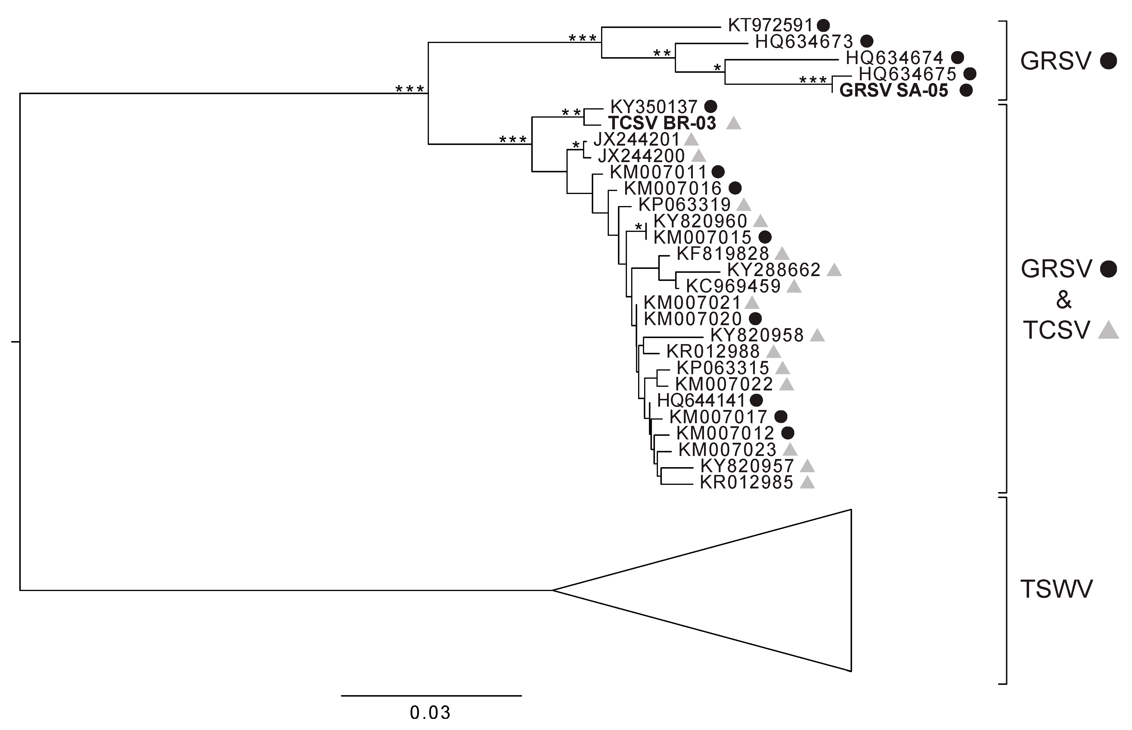 Viruses 11 00187 g001