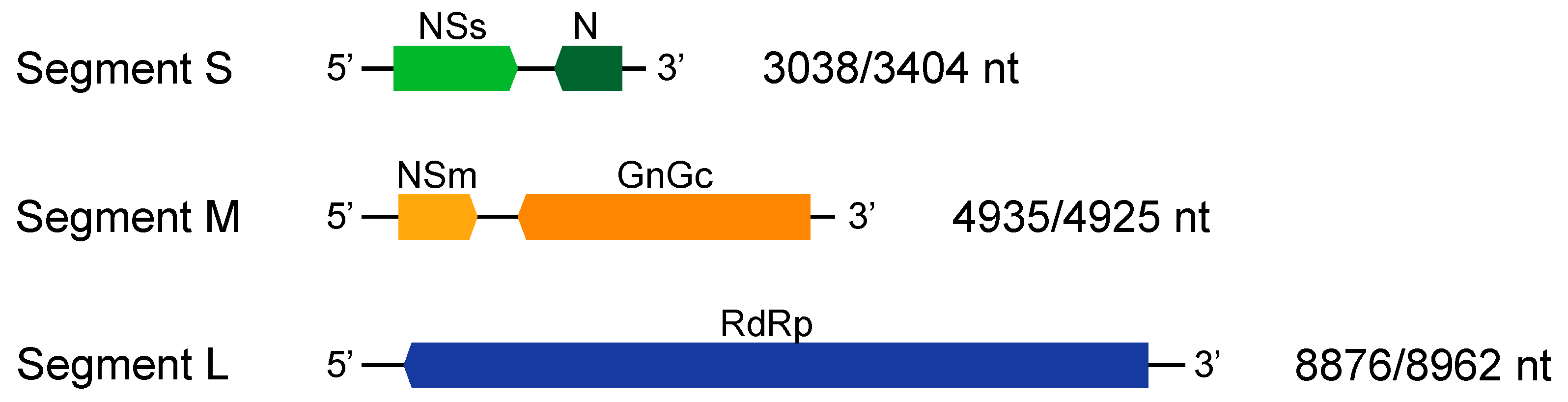 Viruses 11 00187 g002
