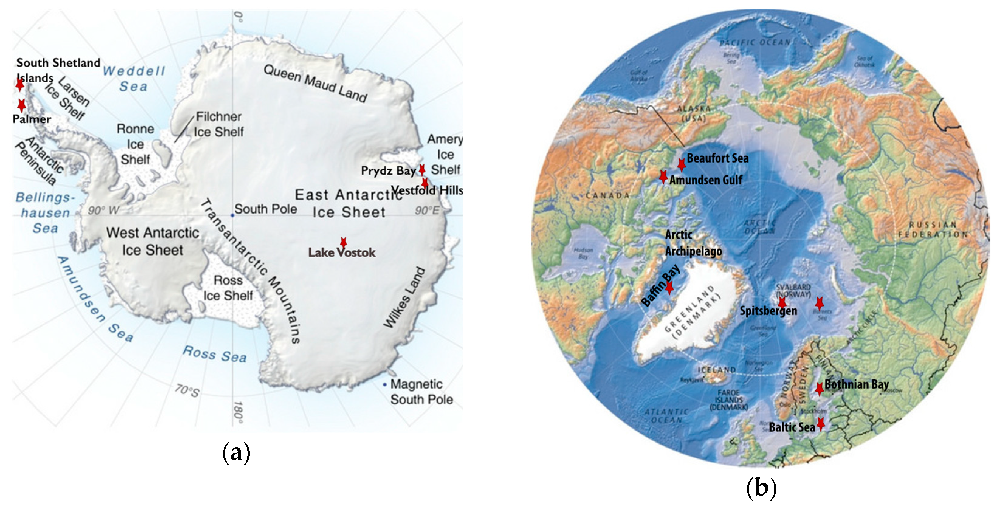Viruses 11 00189 g001