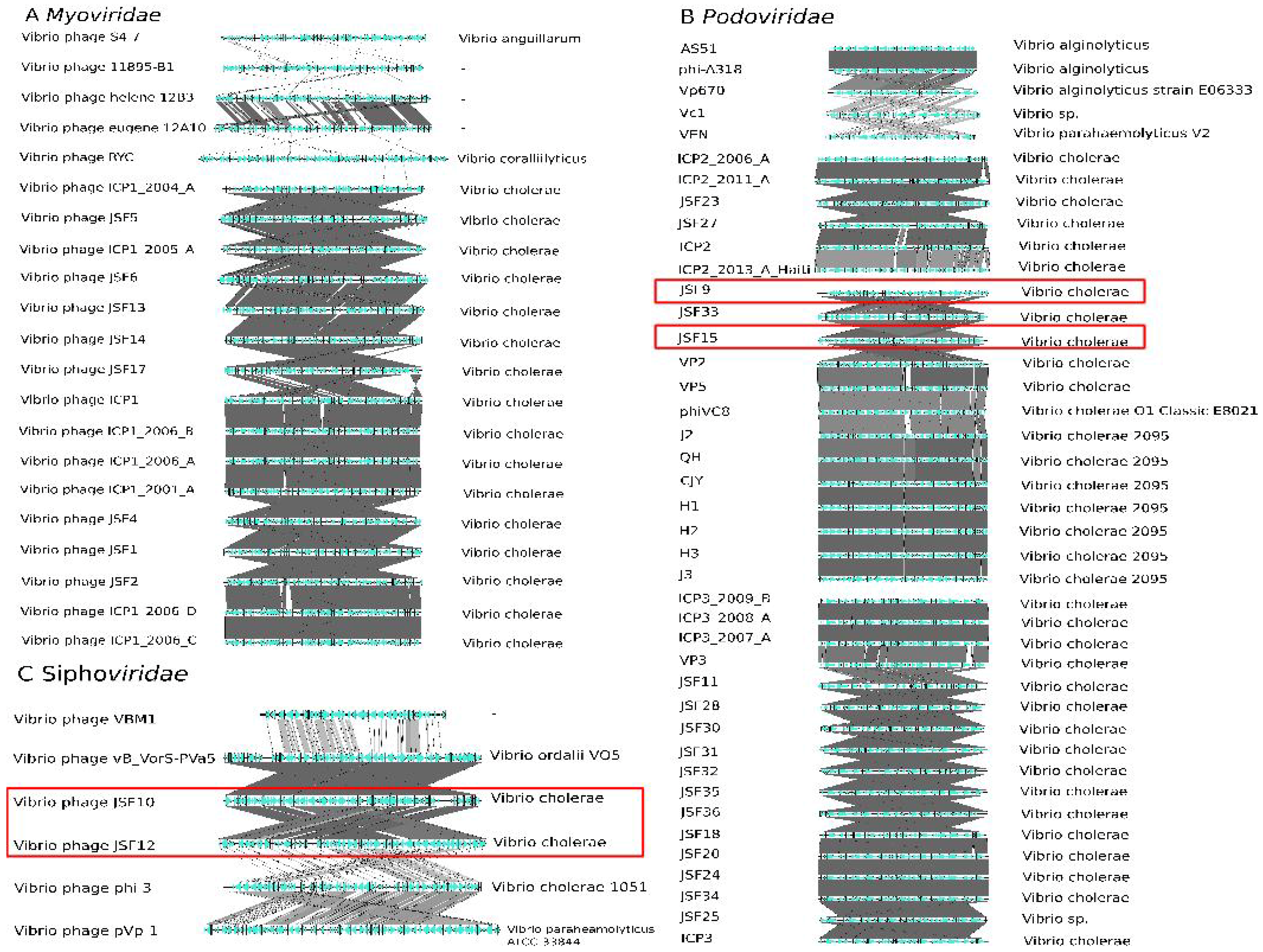 Viruses 11 00195 g002 550