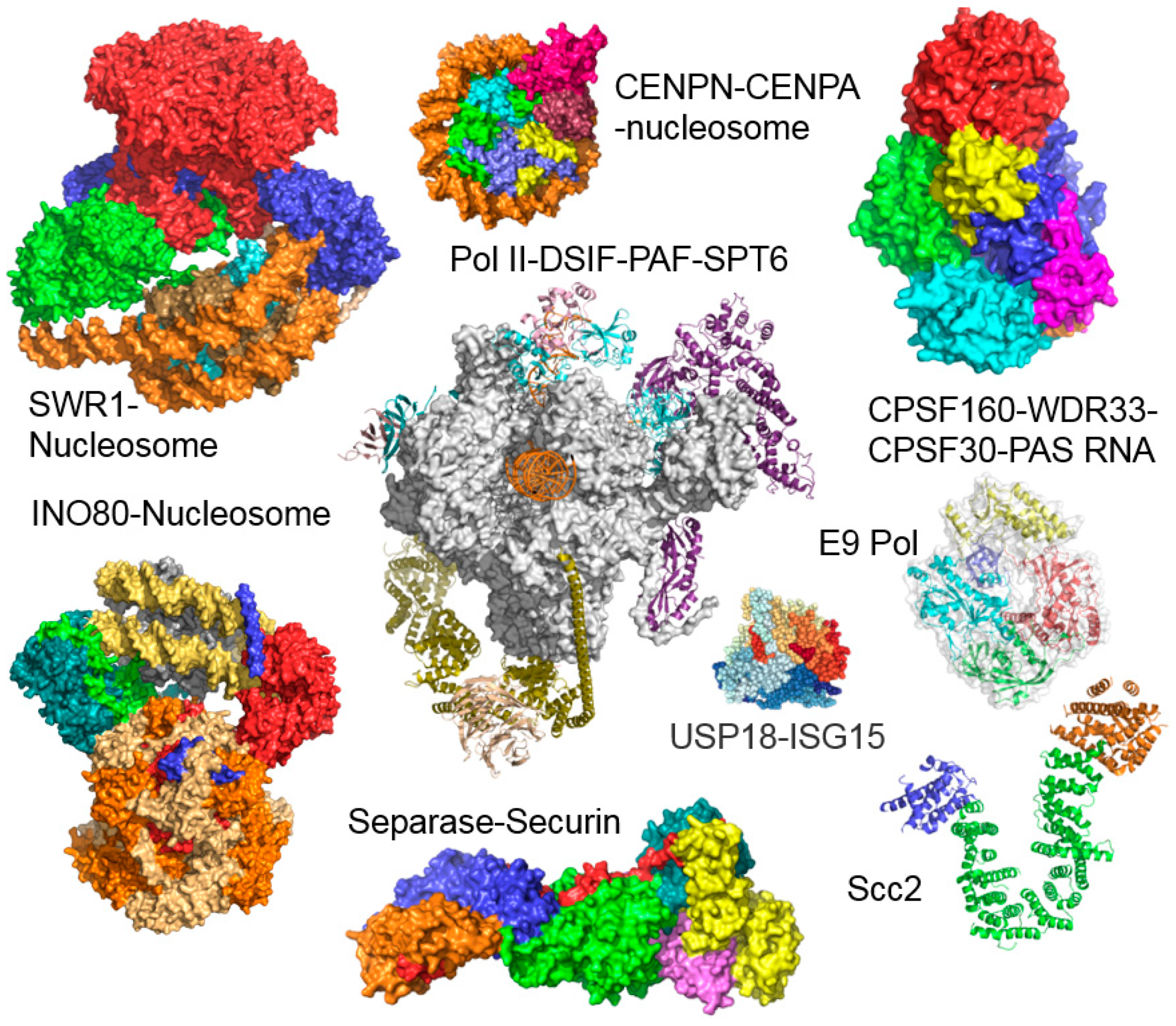 Viruses 11 00198 g002