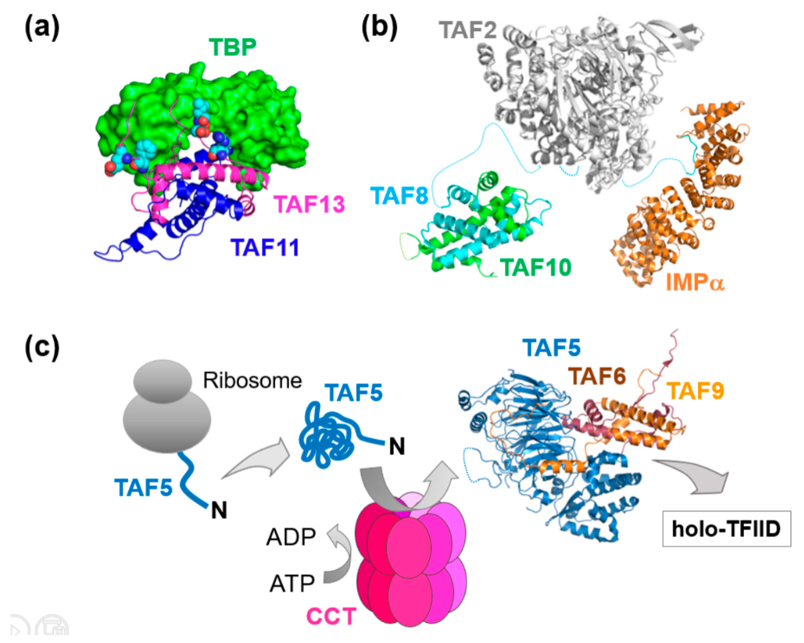 Viruses 11 00198 g003