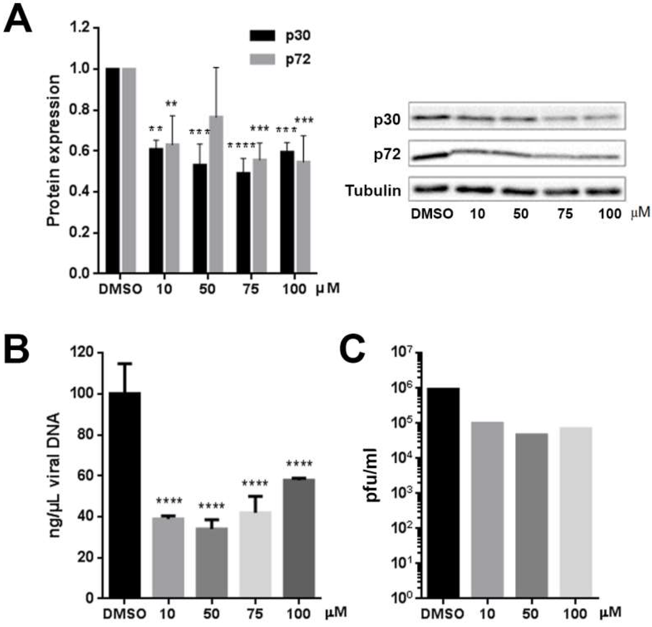 Viruses 11 00199 g004