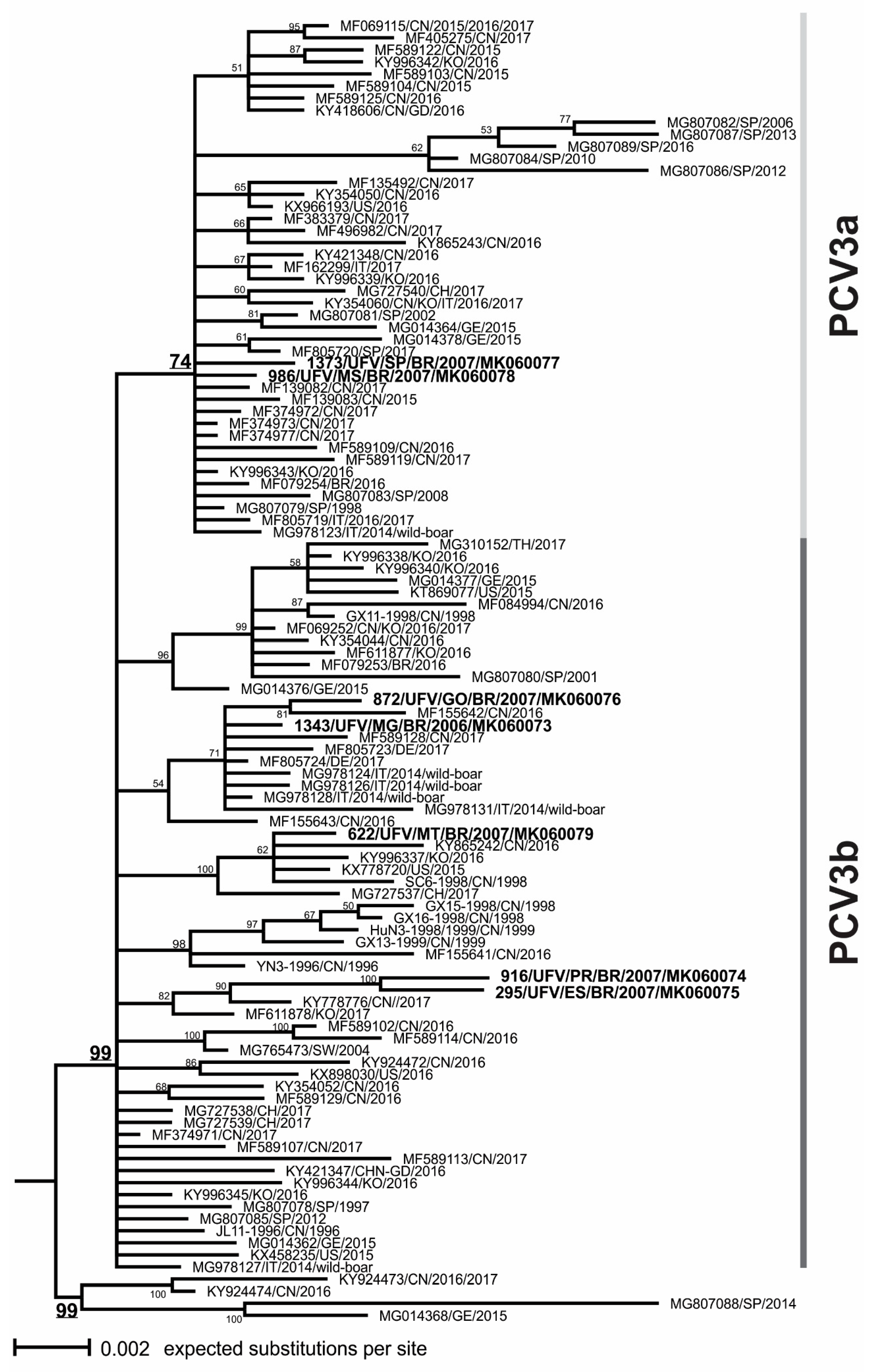 Viruses 11 00201 g002 550