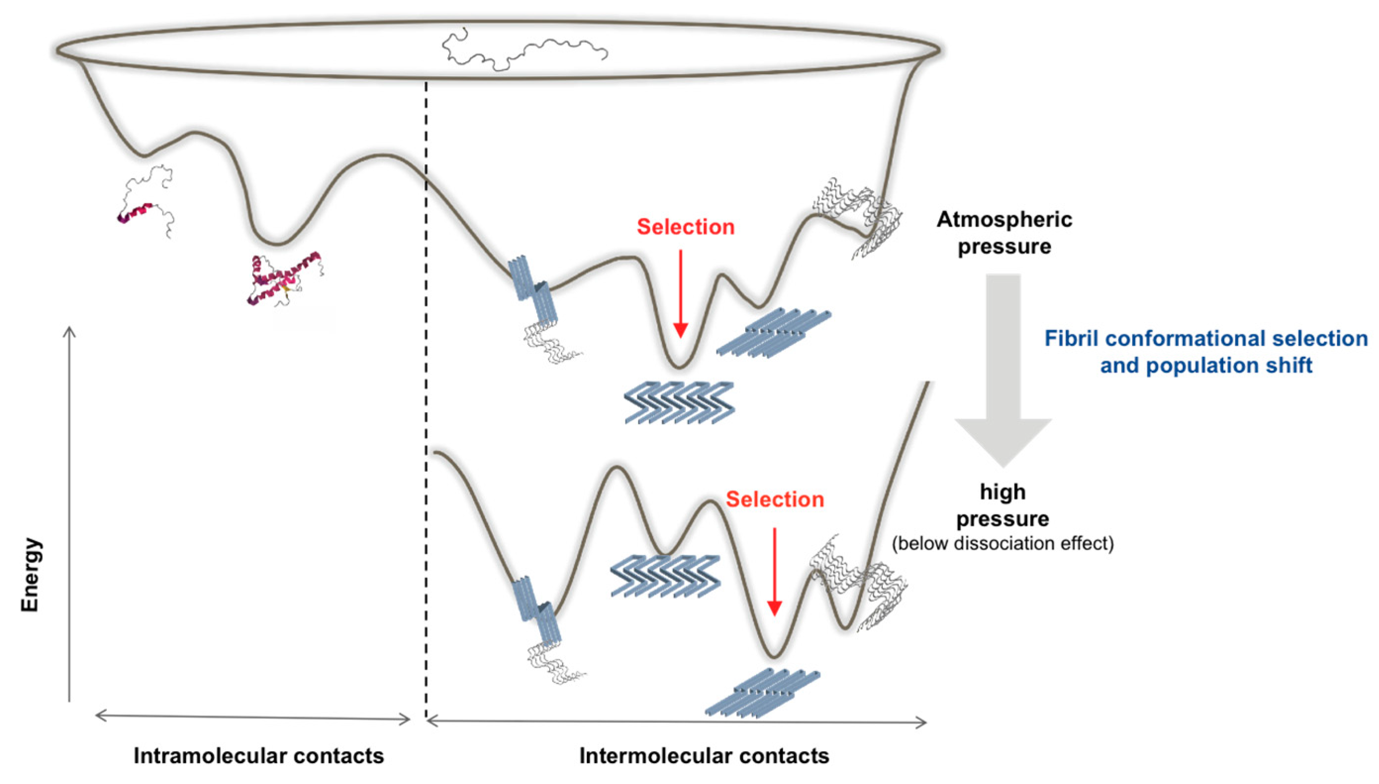 Viruses 11 00202 g003 Viruses 11 00202 g003