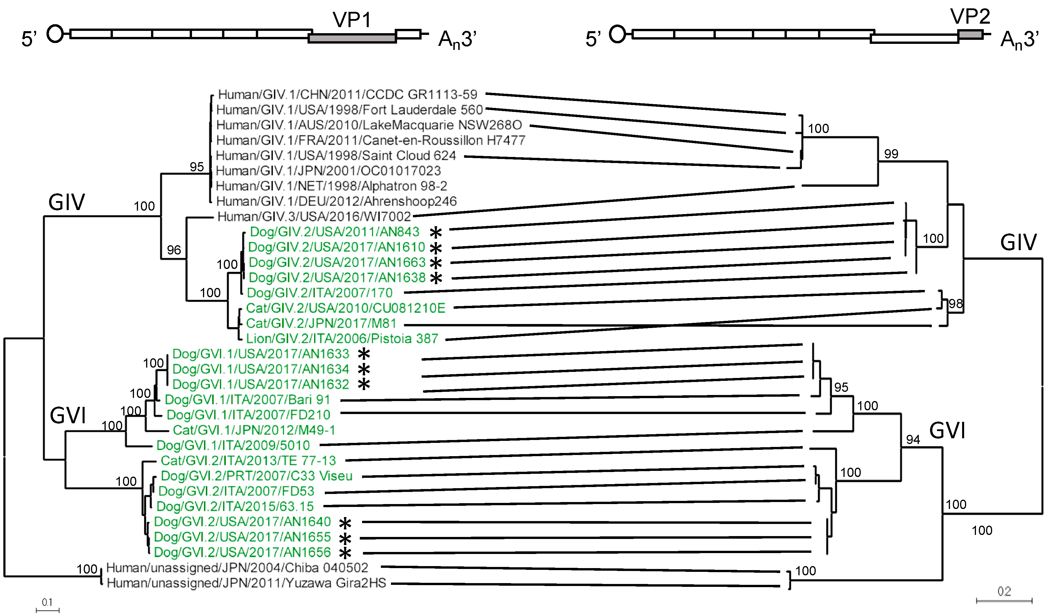 Viruses 11 00204 g002