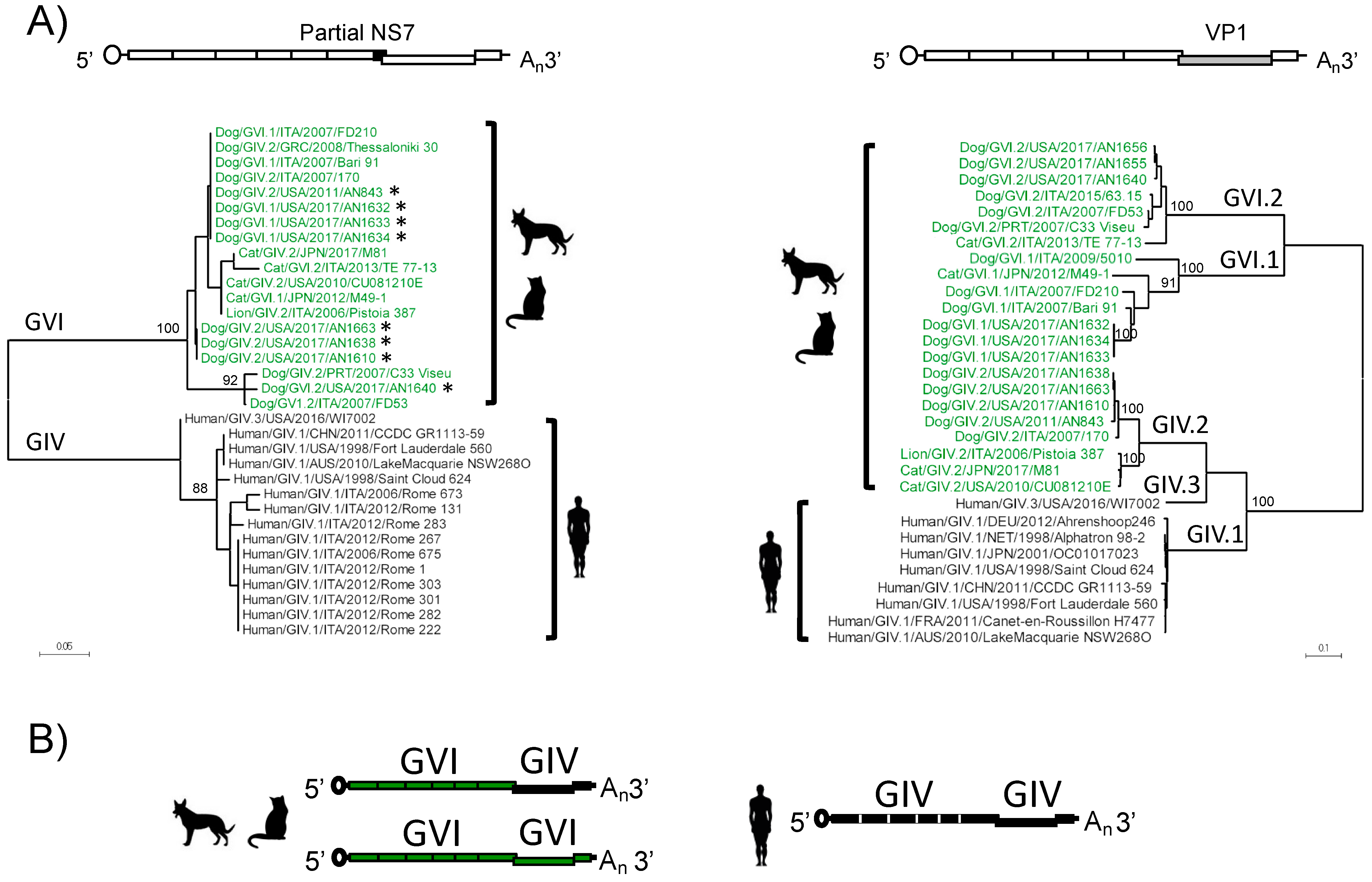 Viruses 11 00204 g004