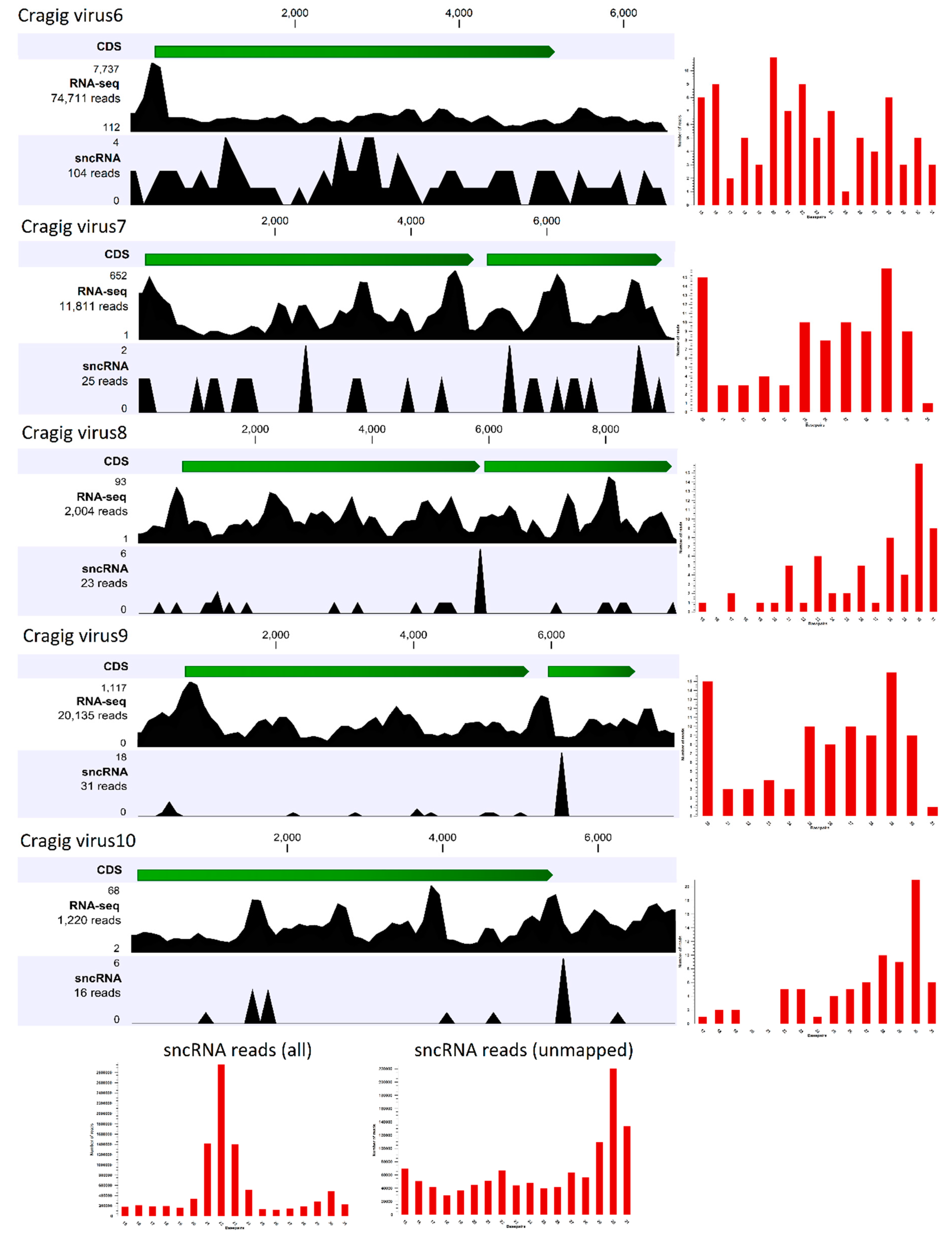 Viruses 11 00205 g003 550