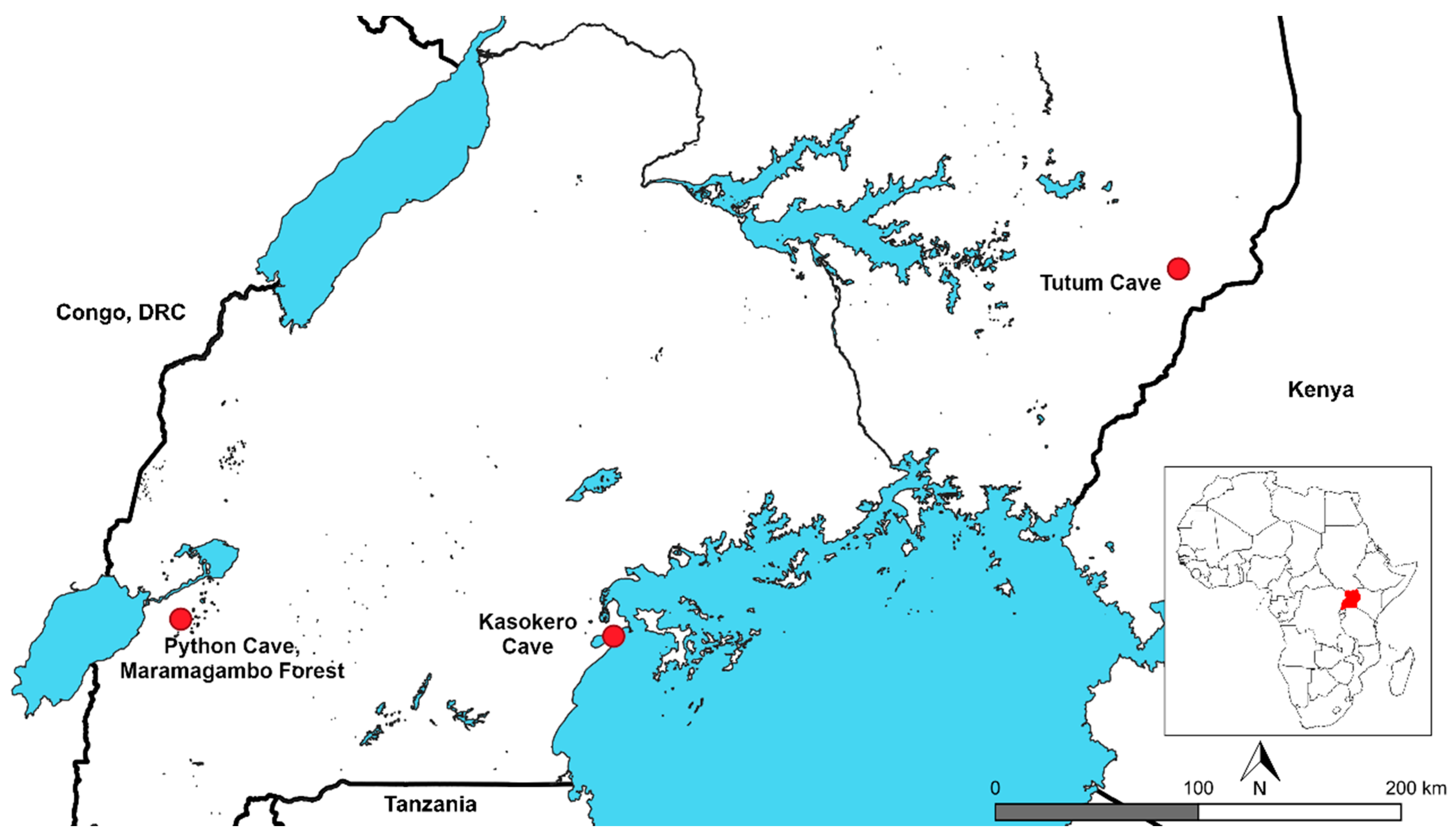 Viruses 11 00209 g001 Viruses 11 00209 g001