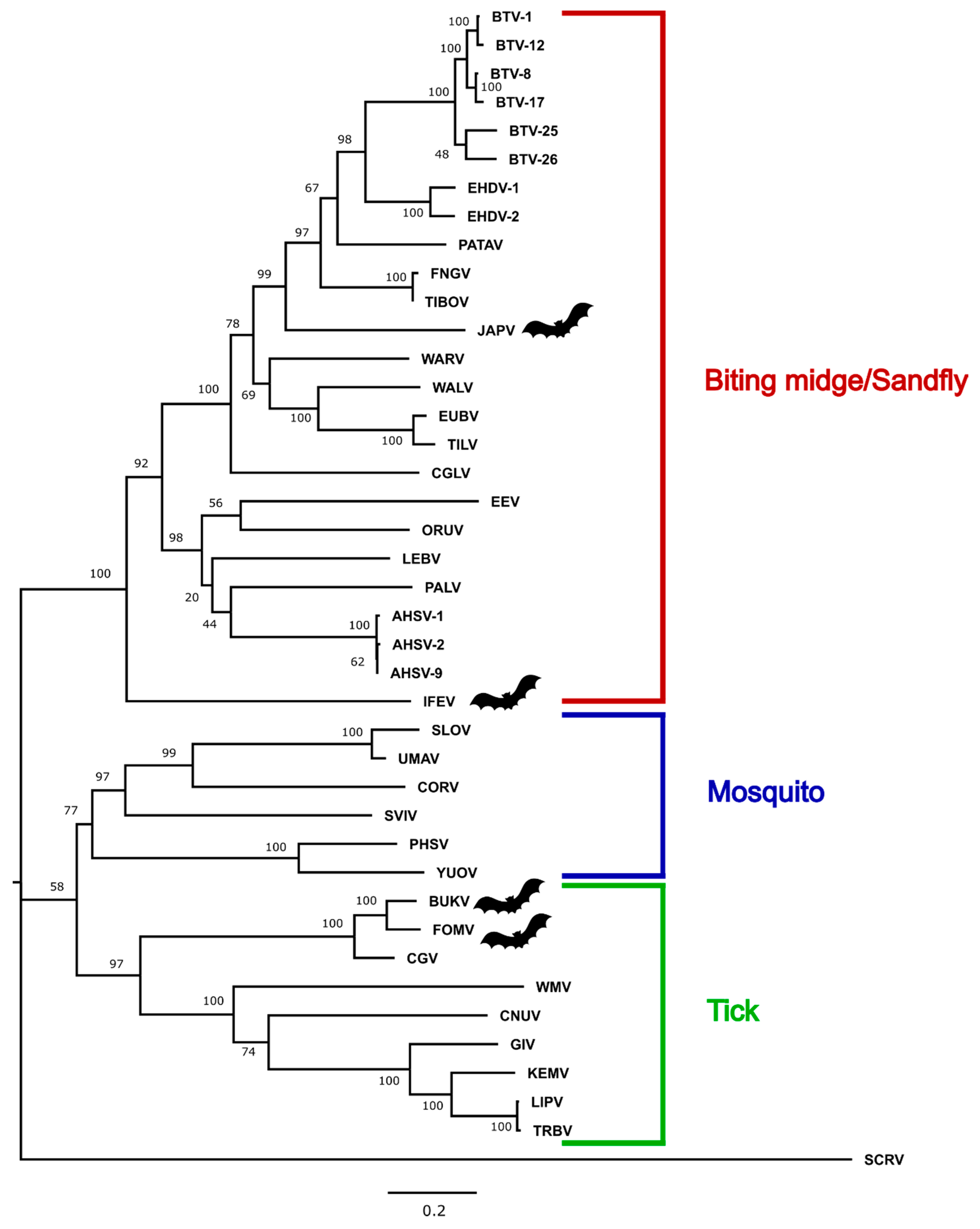 Viruses 11 00209 g002 Viruses 11 00209 g002