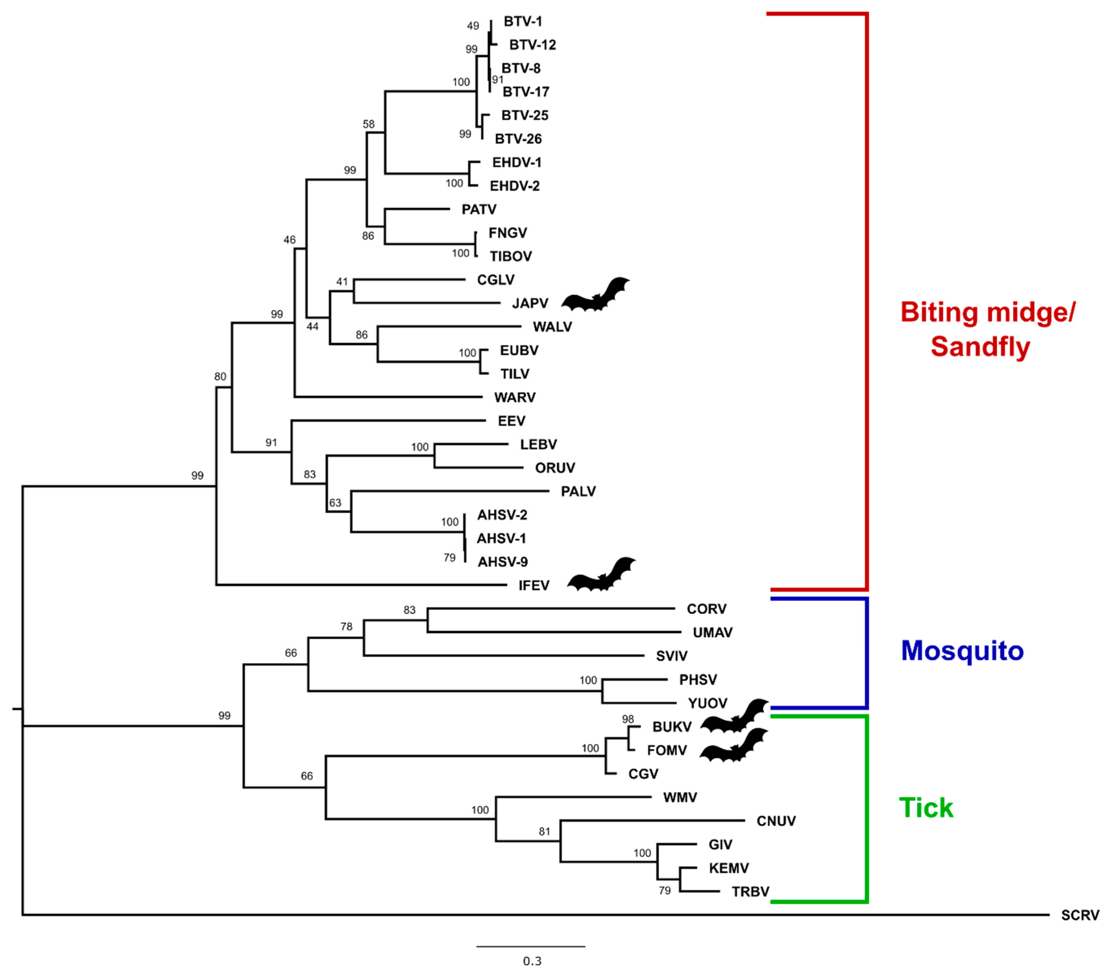 Viruses 11 00209 g004 Viruses 11 00209 g004