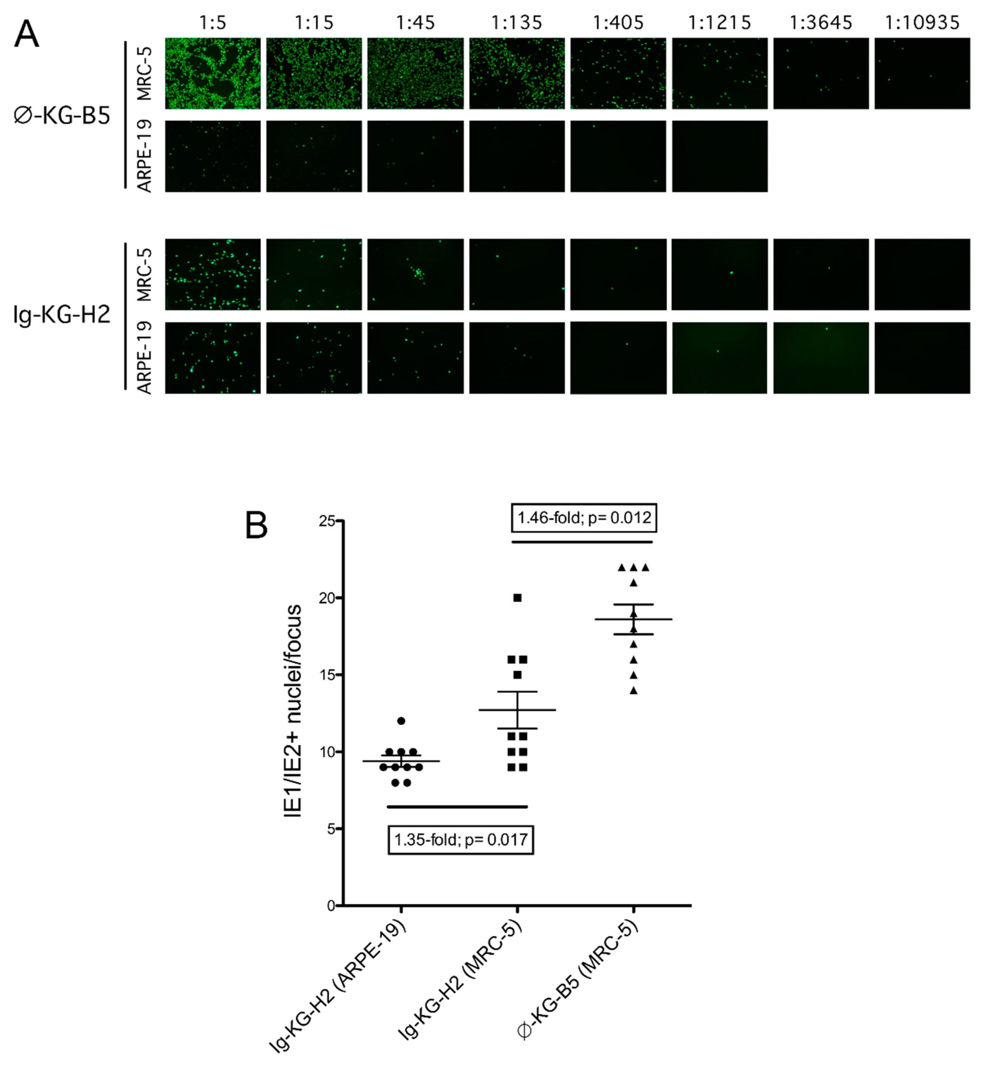 Viruses 11 00221 g003 Viruses 11 00221 g003