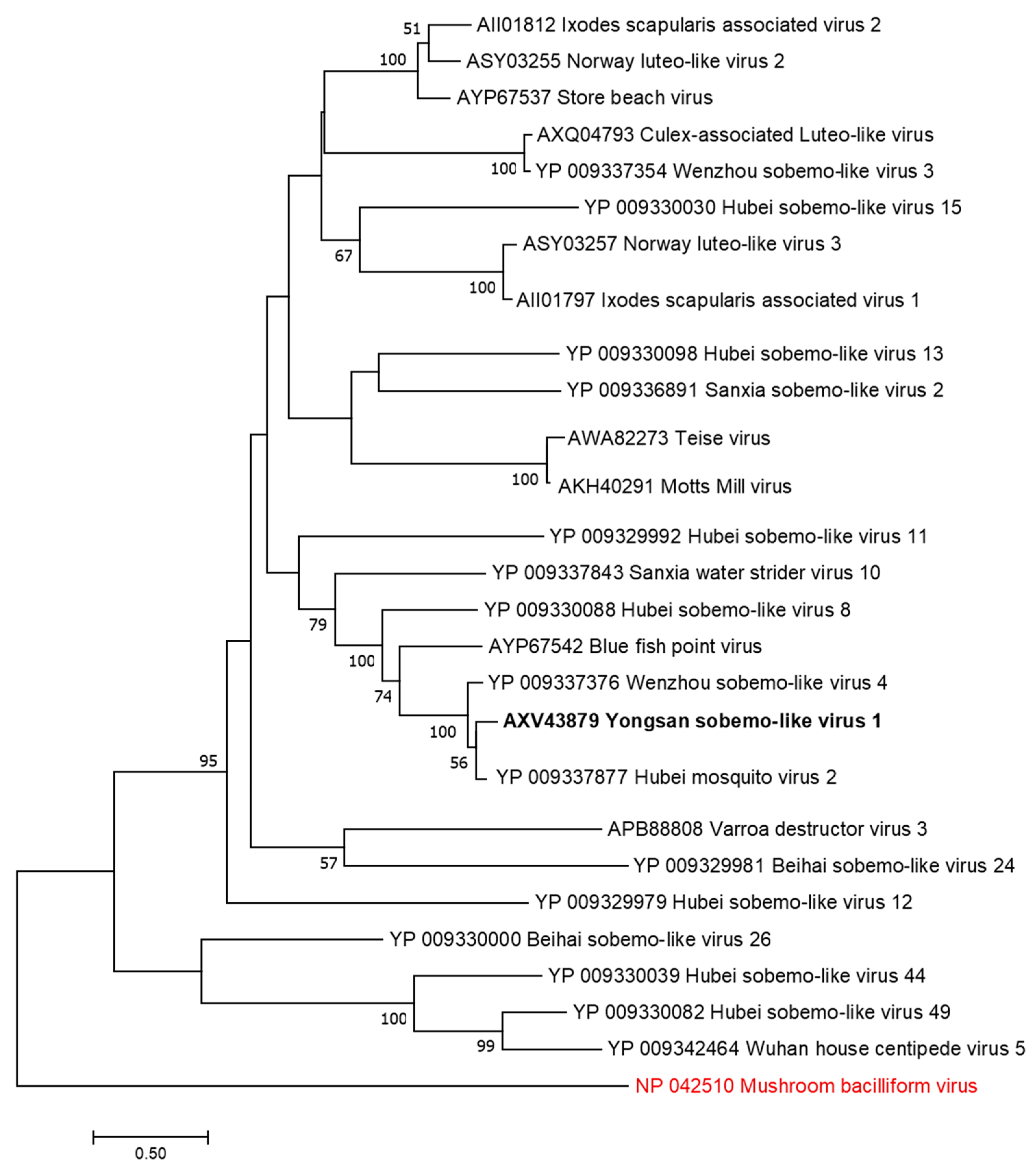 Mosquito Classification Chart