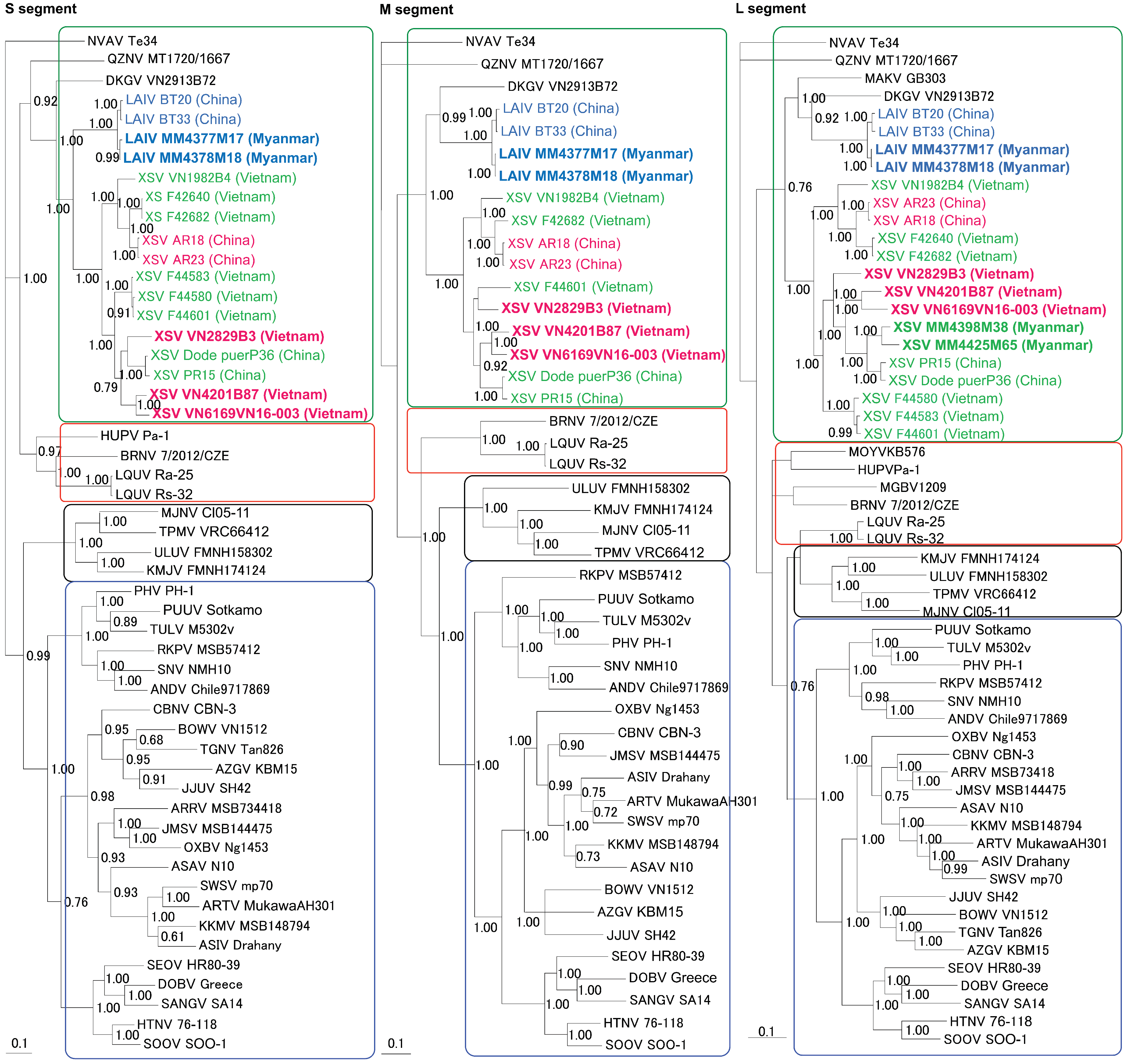Viruses 11 00228 g003 Viruses 11 00228 g003