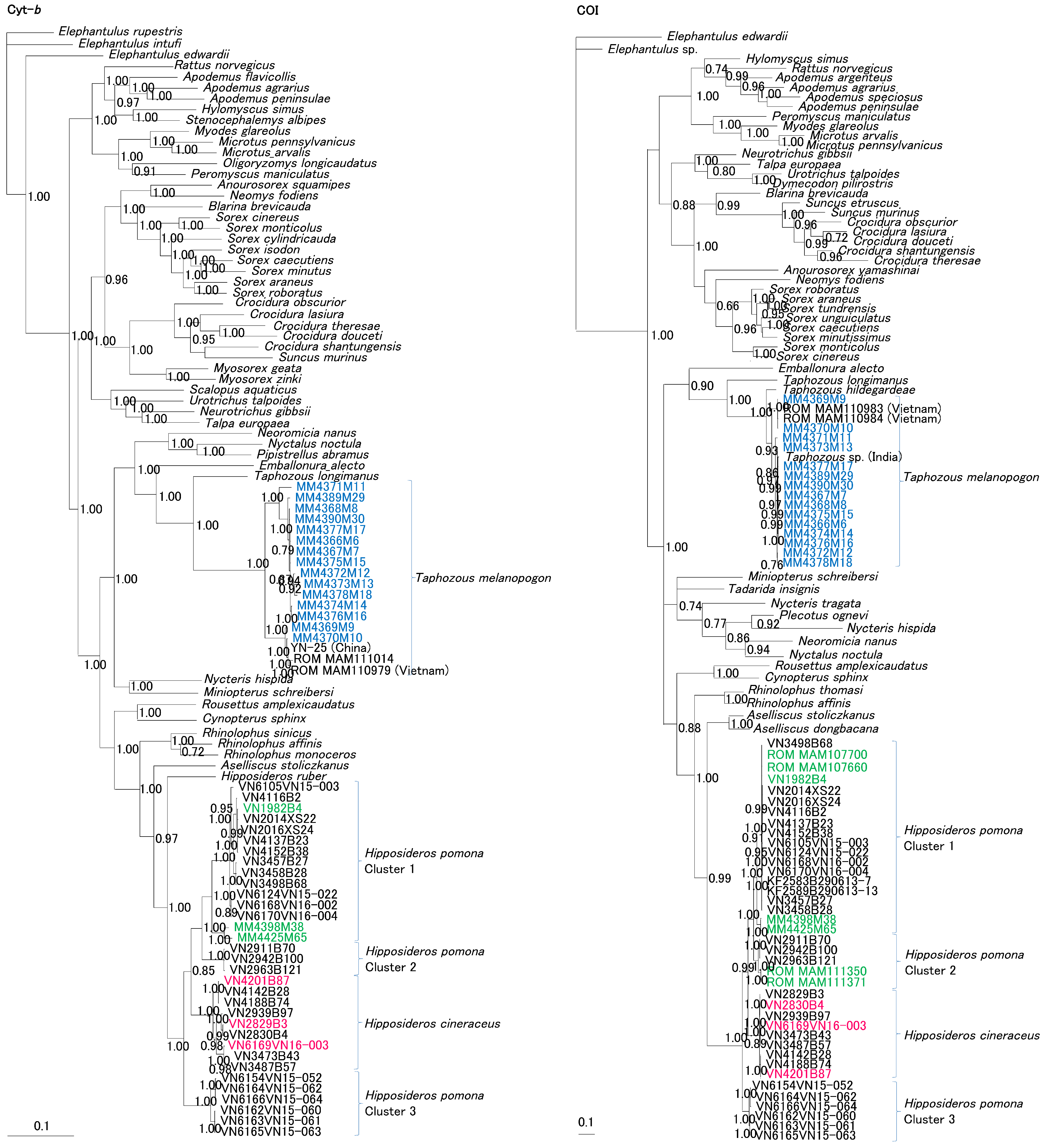 Viruses 11 00228 g004 Viruses 11 00228 g004