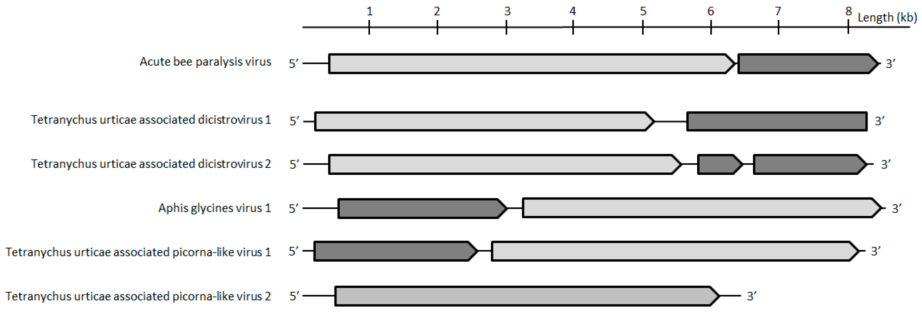 Viruses 11 00233 g005