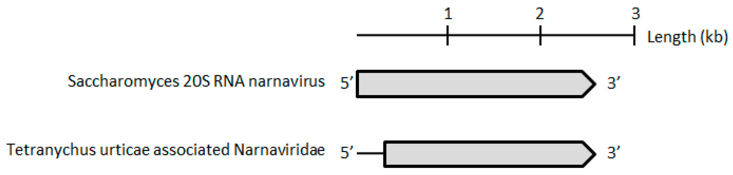 Viruses 11 00233 g006b
