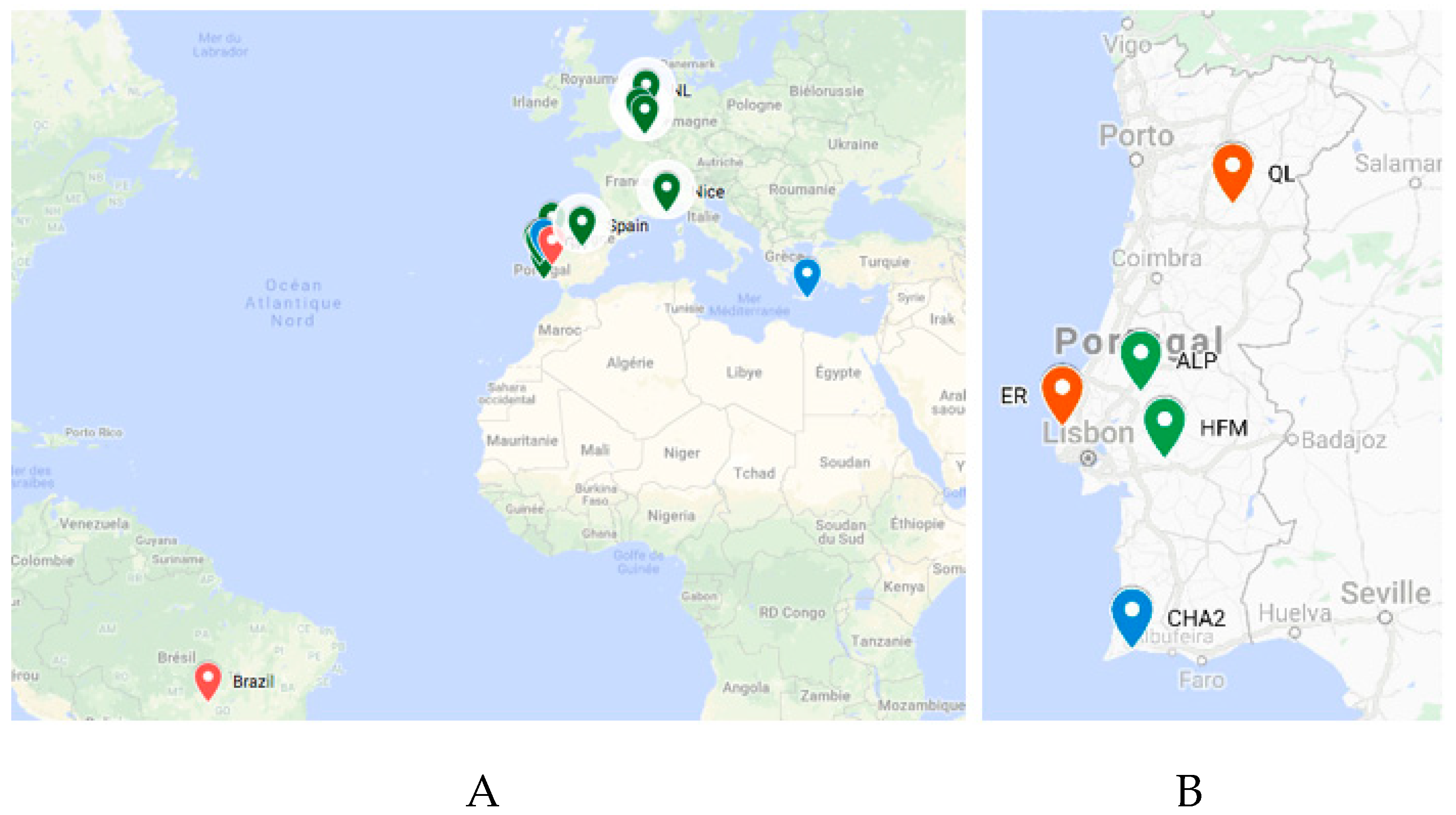 Viruses 11 00233 g008