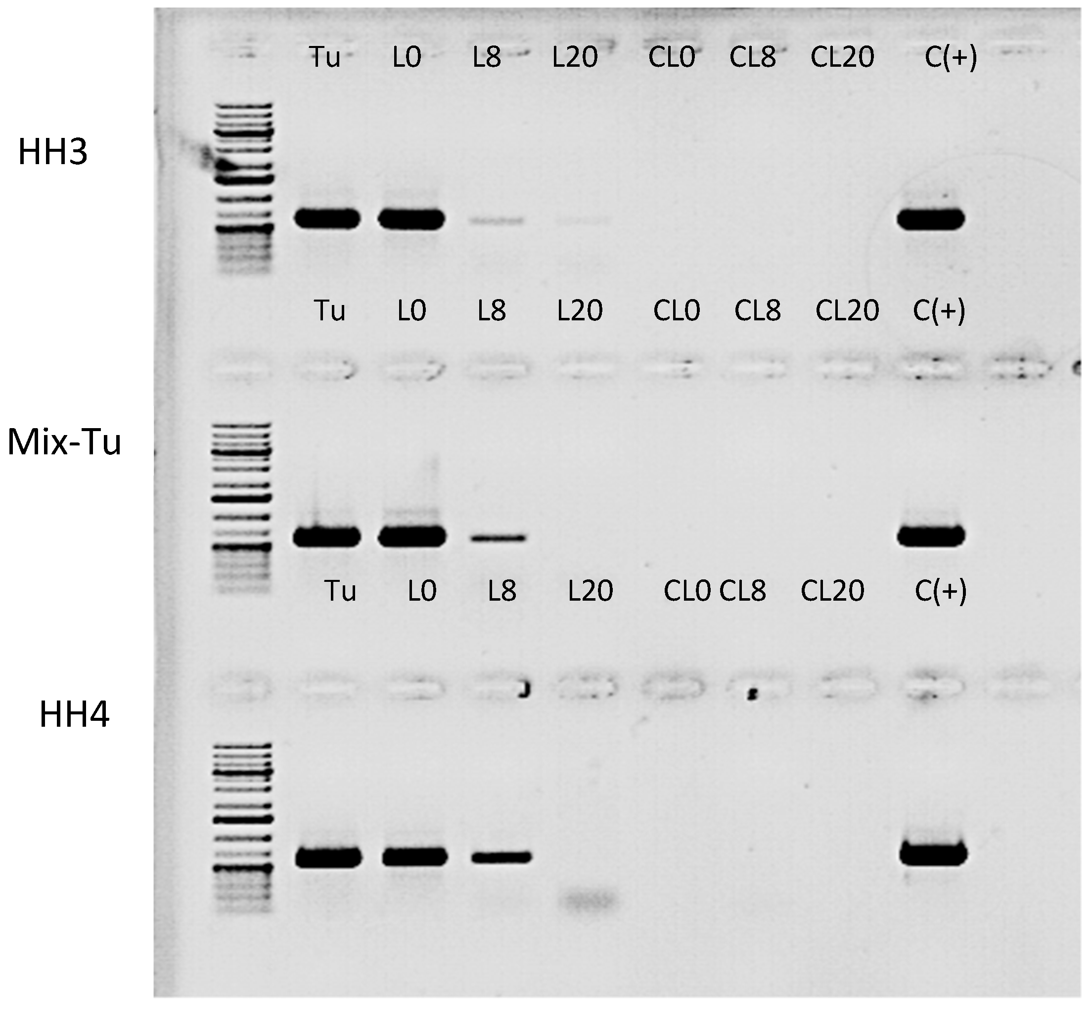 Viruses 11 00233 g009