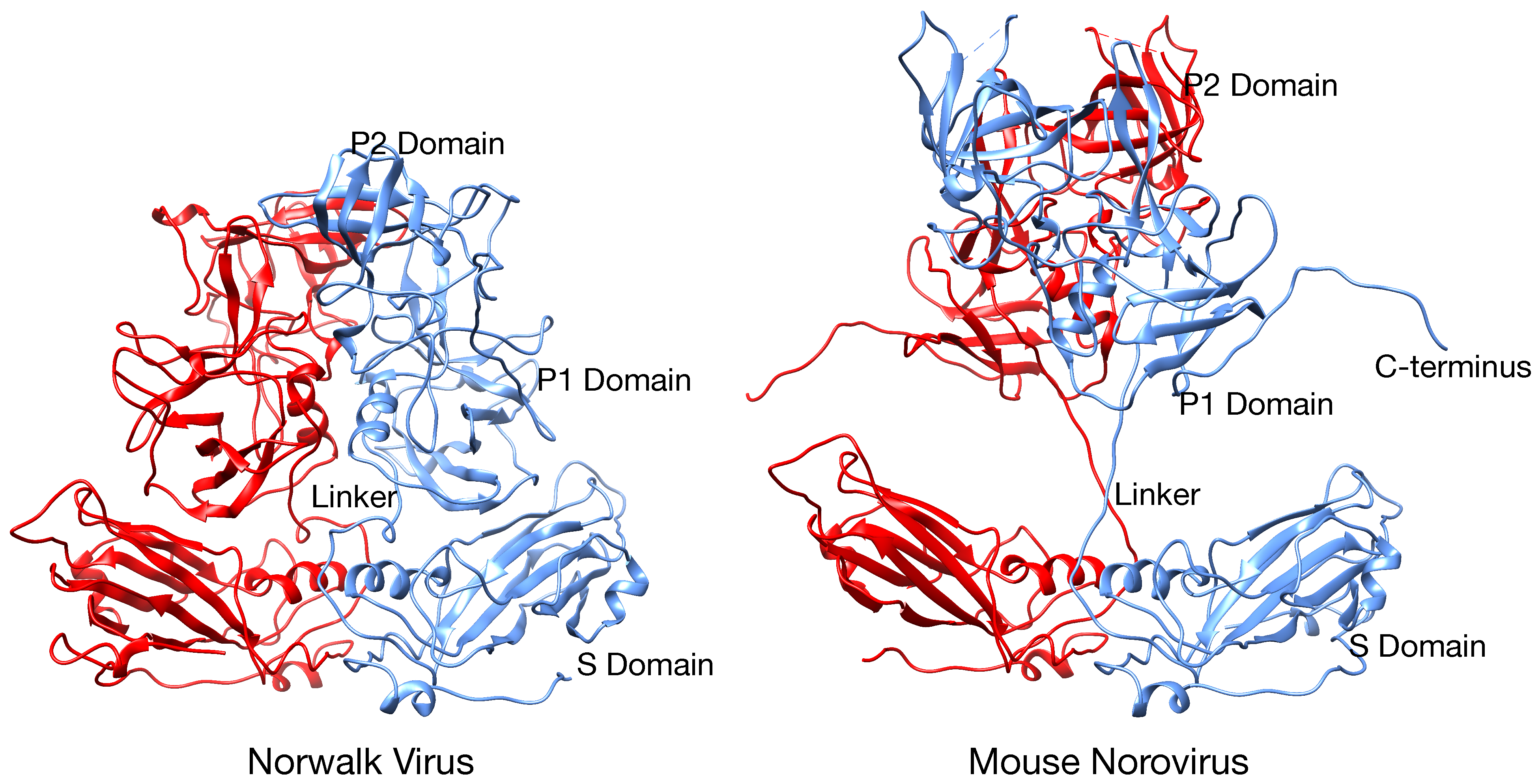 Viruses 11 00235 g003