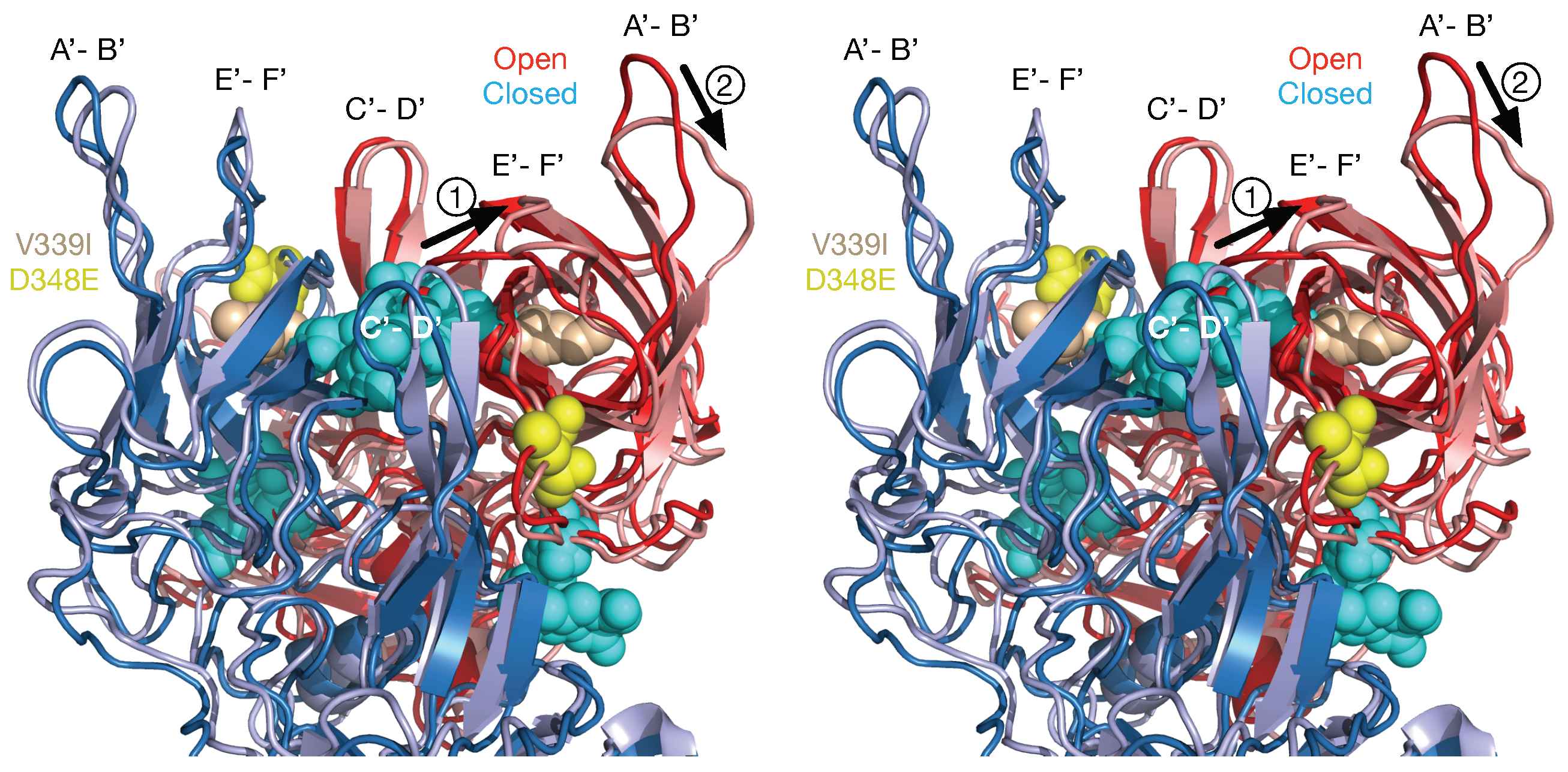 Viruses 11 00235 g007