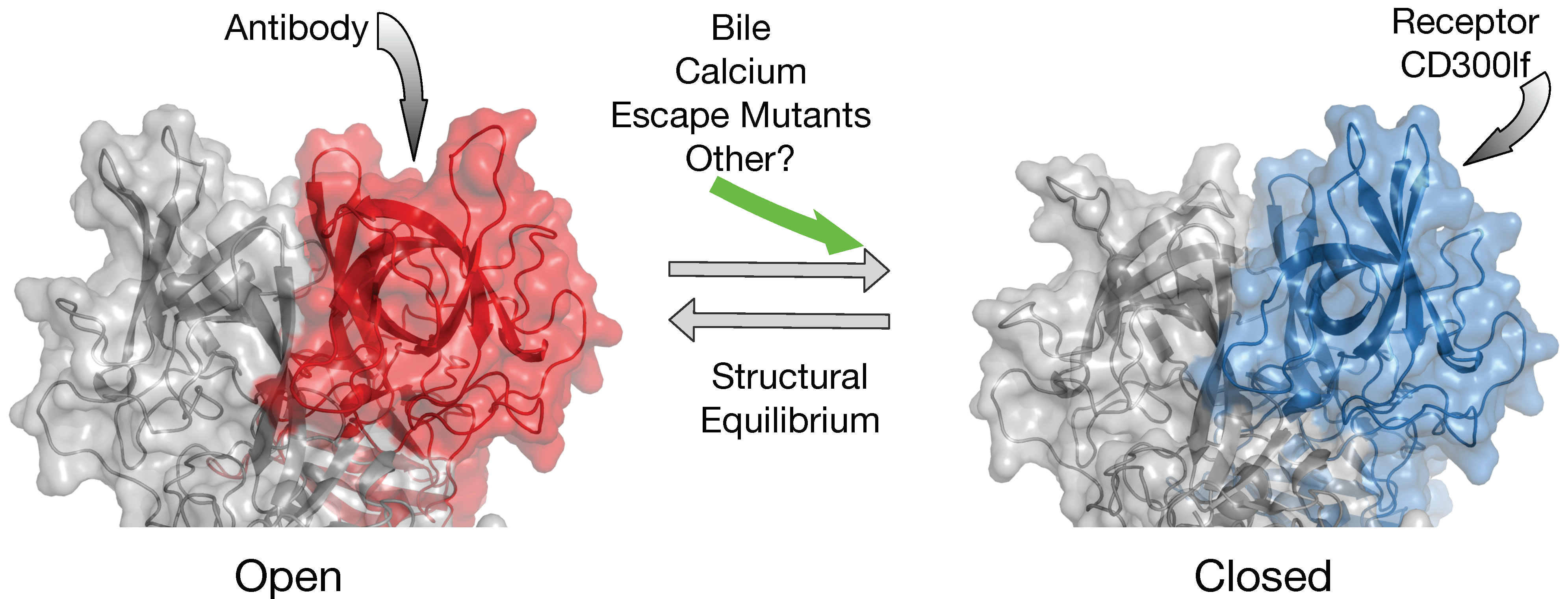 Viruses 11 00235 g009
