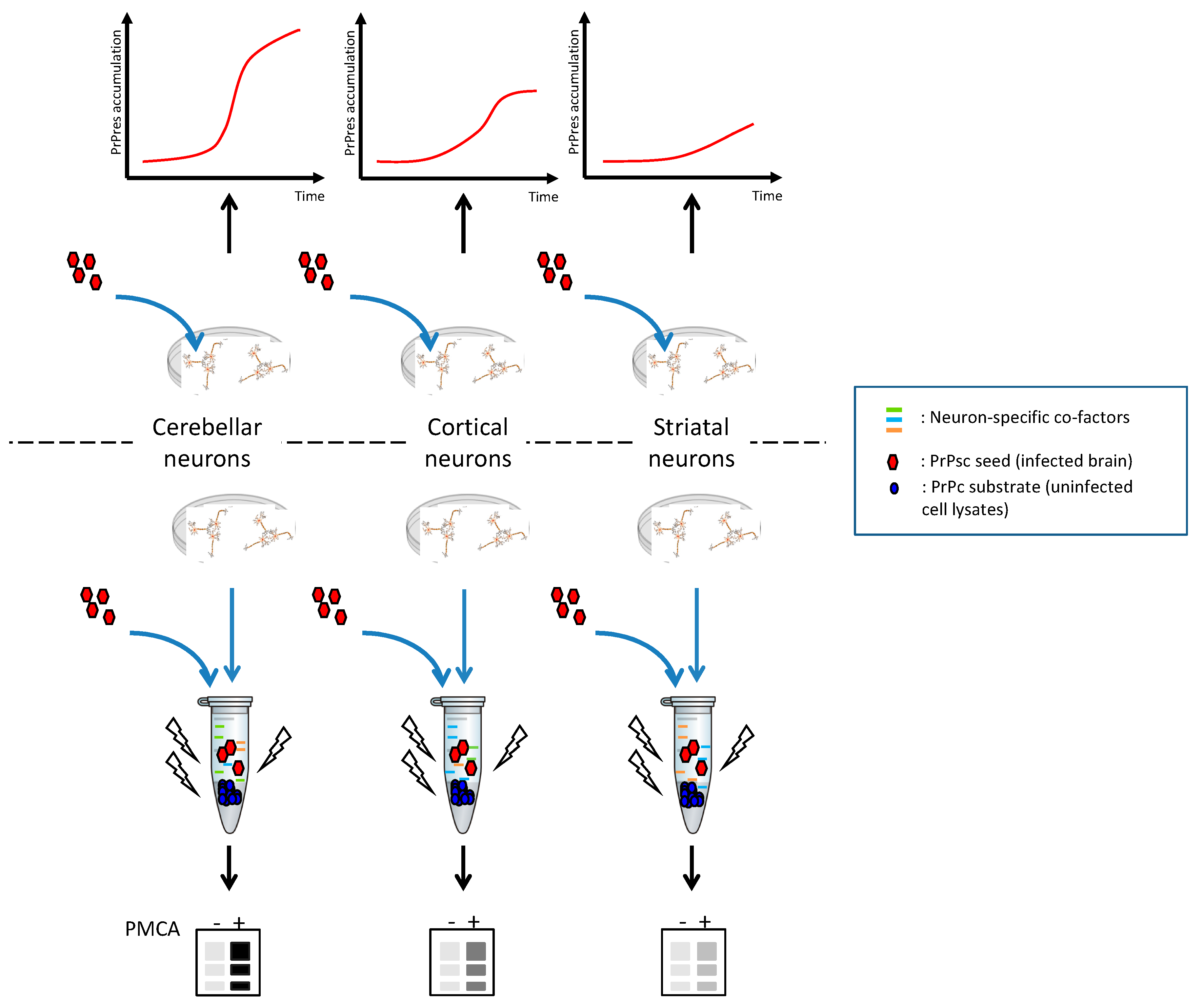 Viruses 11 00236 sch003 Viruses 11 00236 sch003