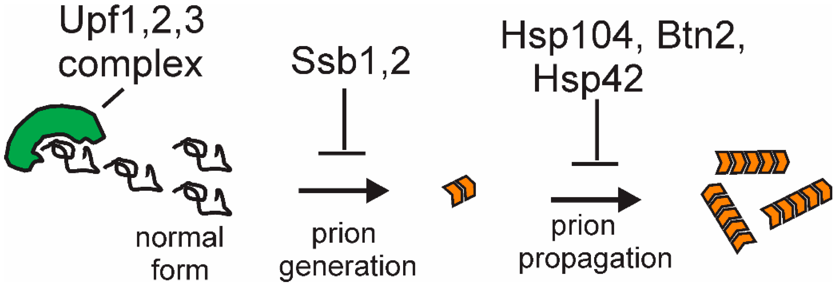 Viruses 11 00238 g005 Viruses 11 00238 g005