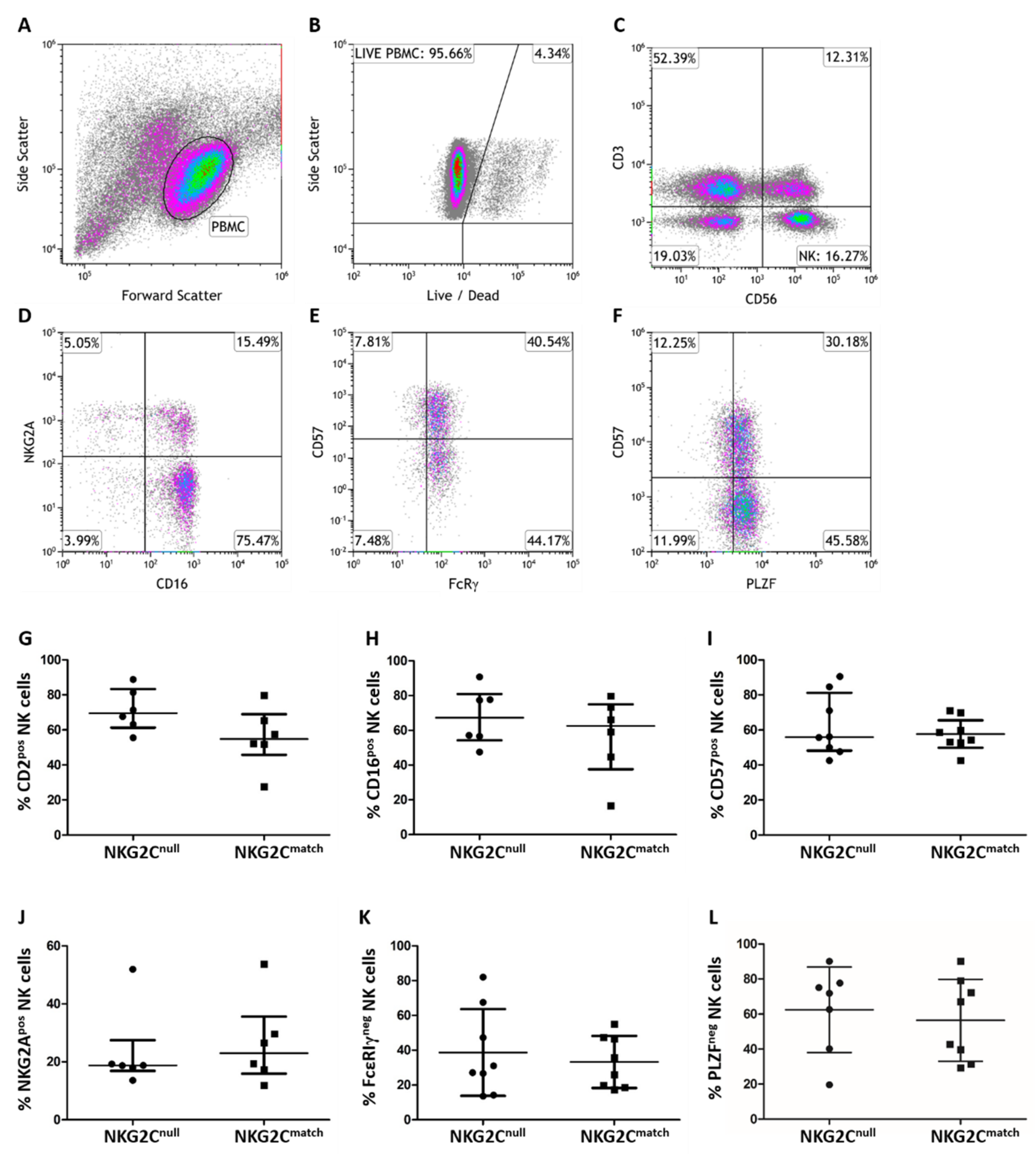 Viruses 11 00239 g001