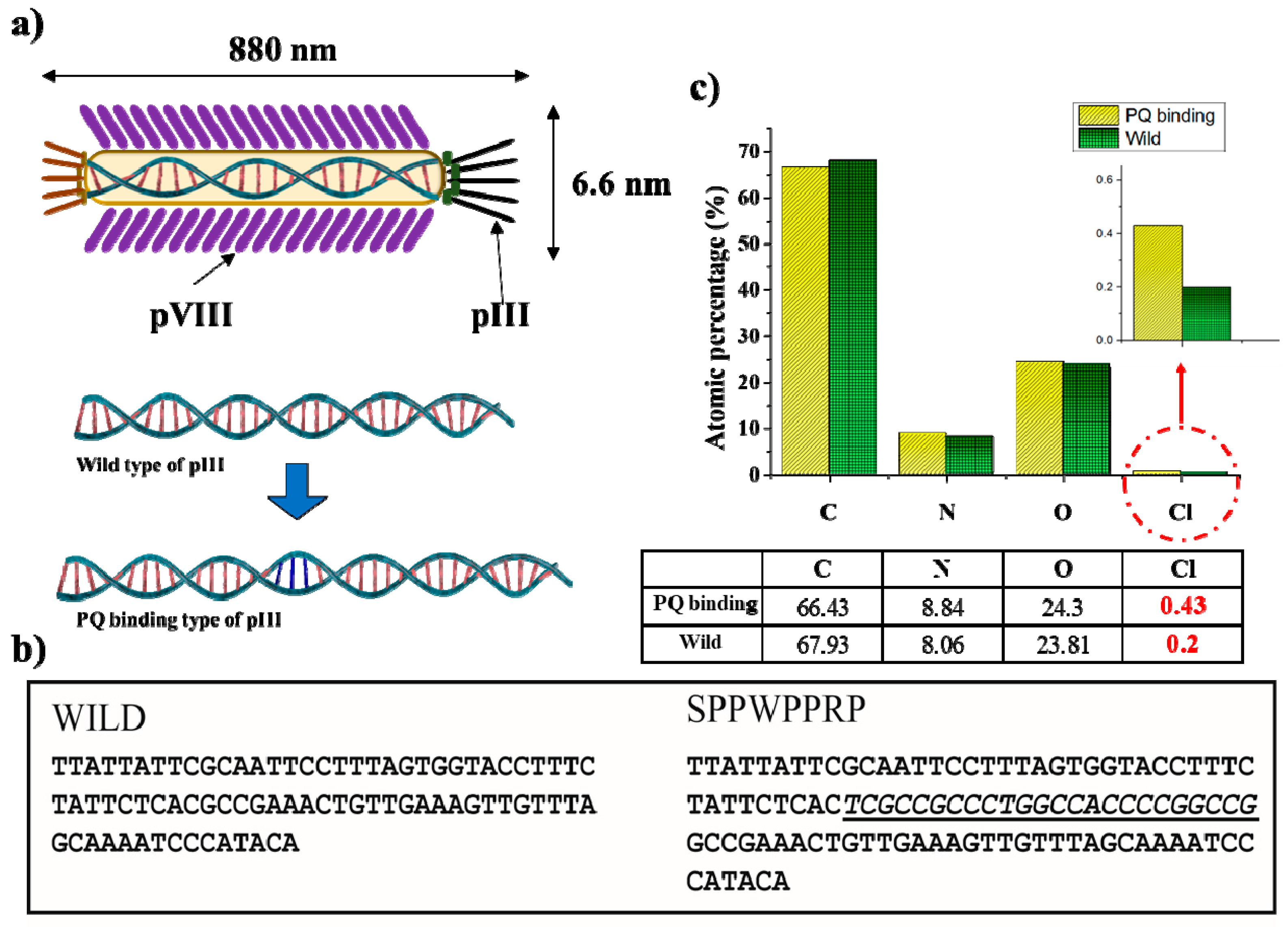 Viruses 11 00248 g002 Viruses 11 00248 g002
