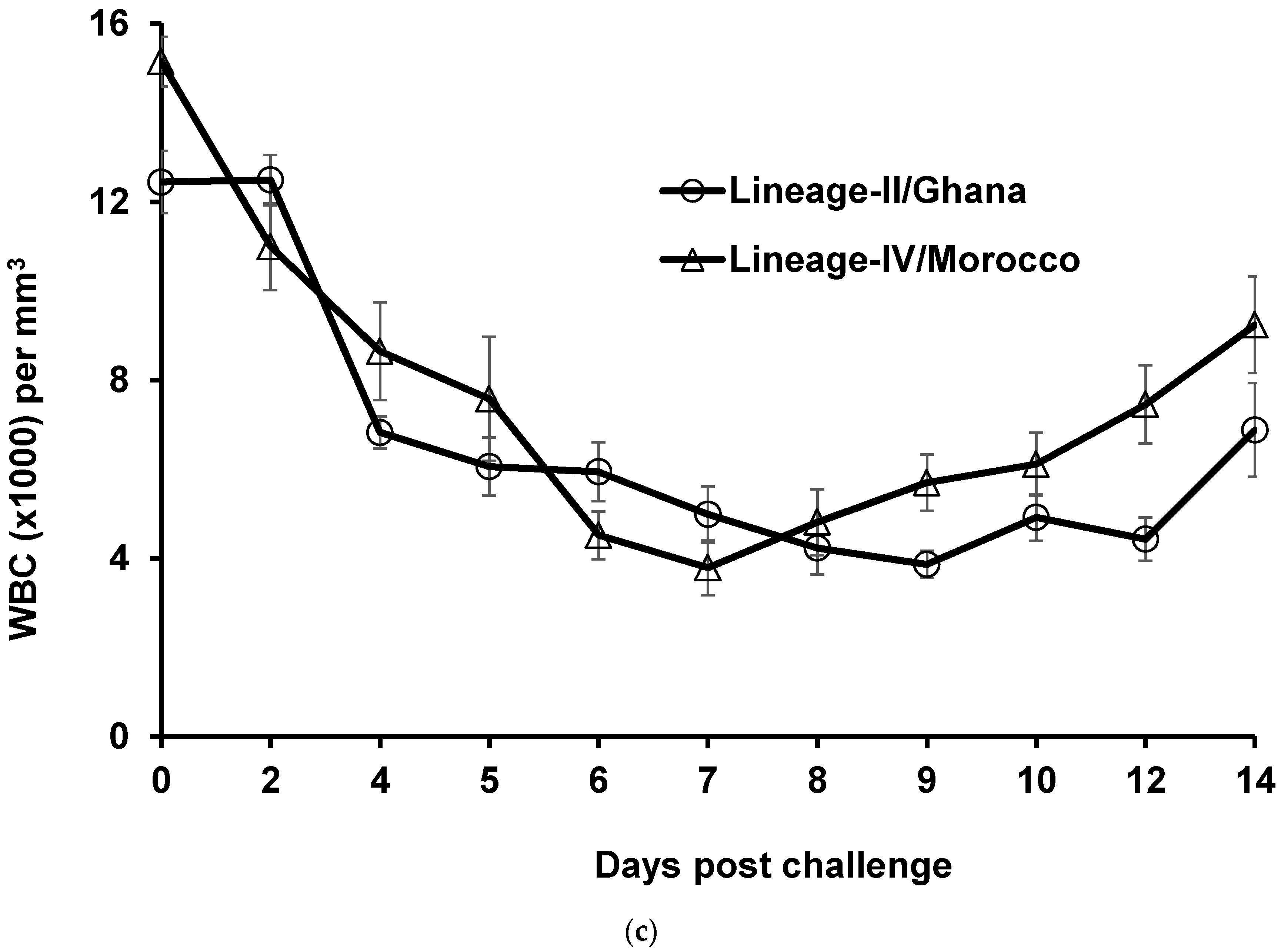 Viruses | Free Full-Text | Quantifying Levels of Peste Des Petits