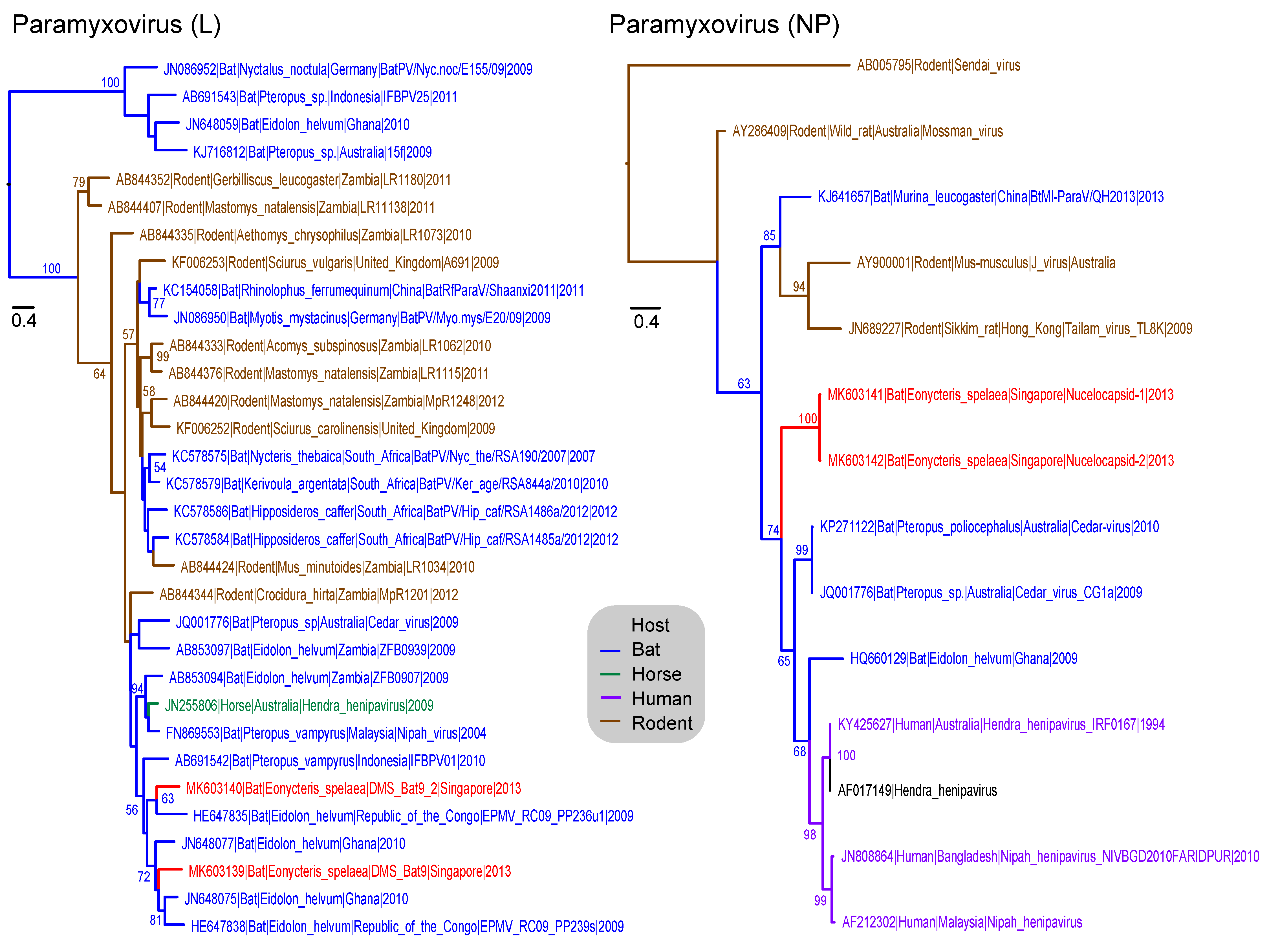 Viruses 11 00250 g003