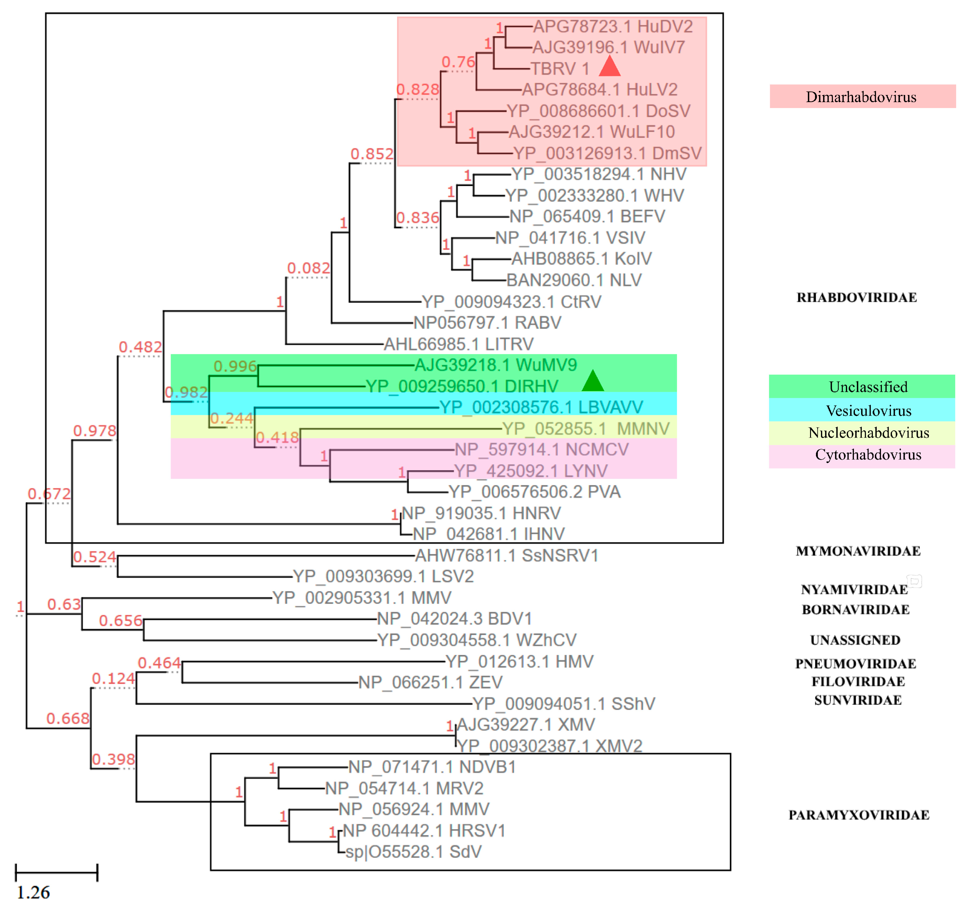 Viruses 11 00257 g003