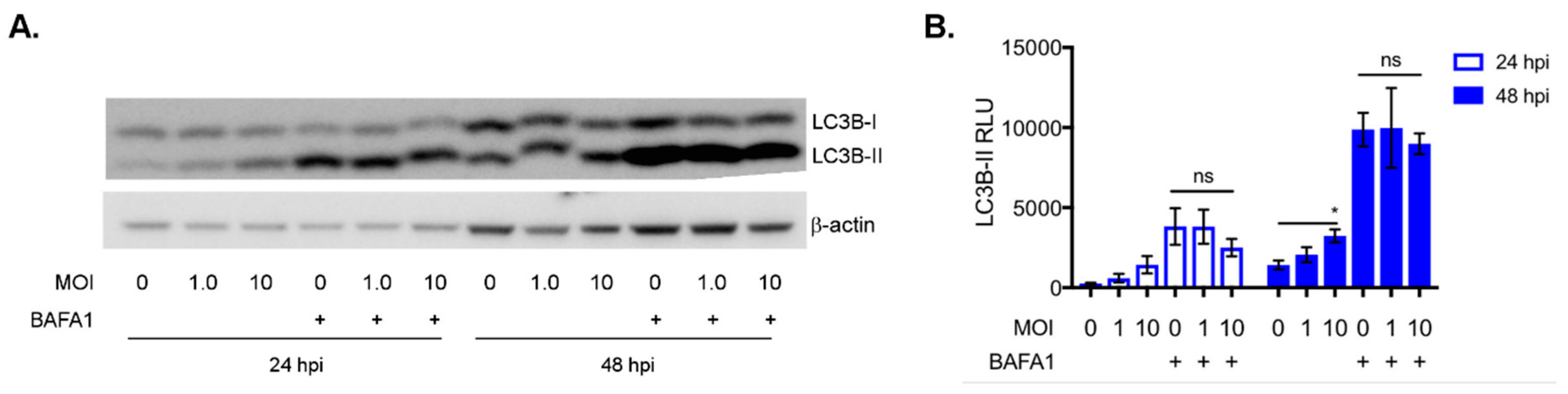 Viruses 11 00260 g004