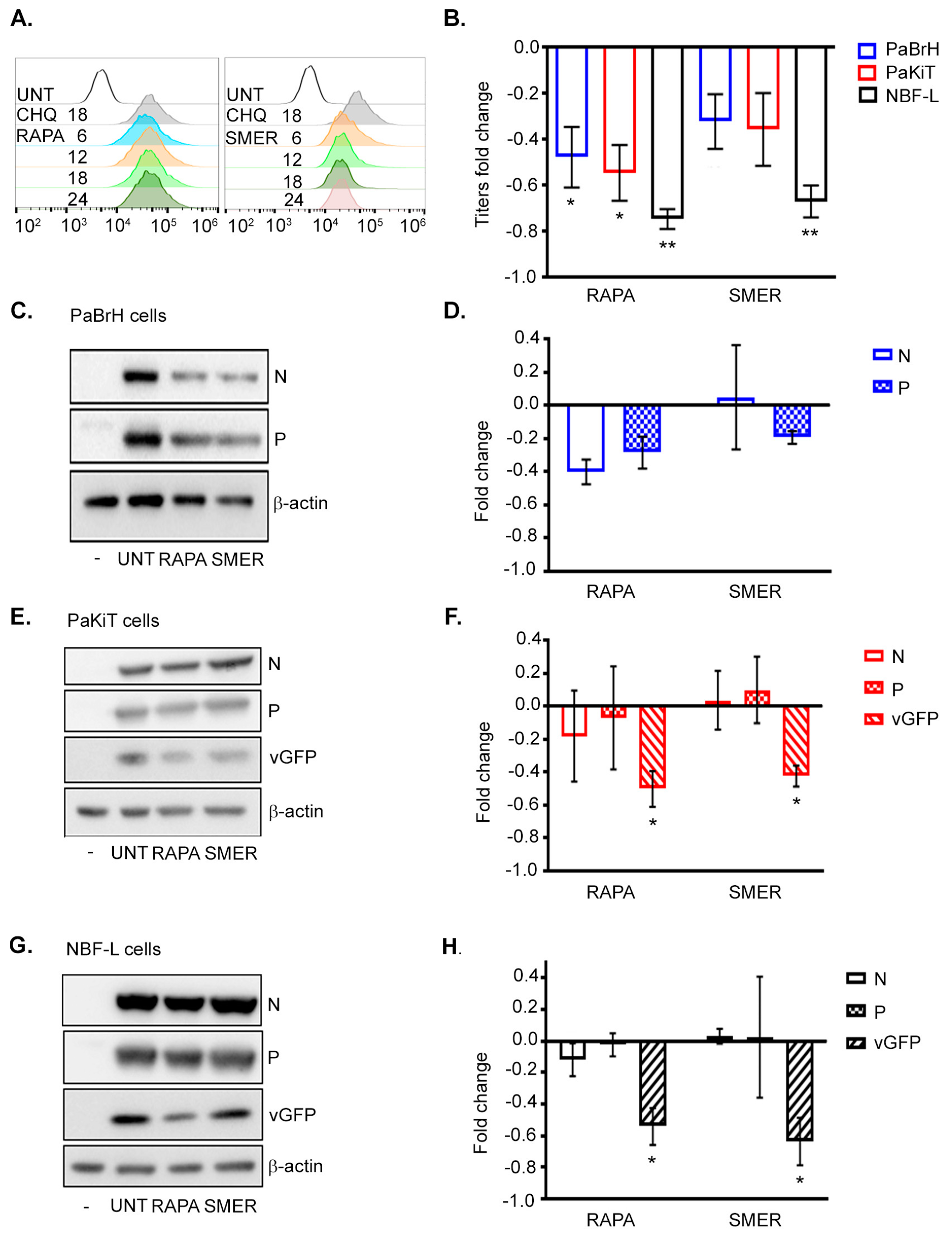 Viruses 11 00260 g006