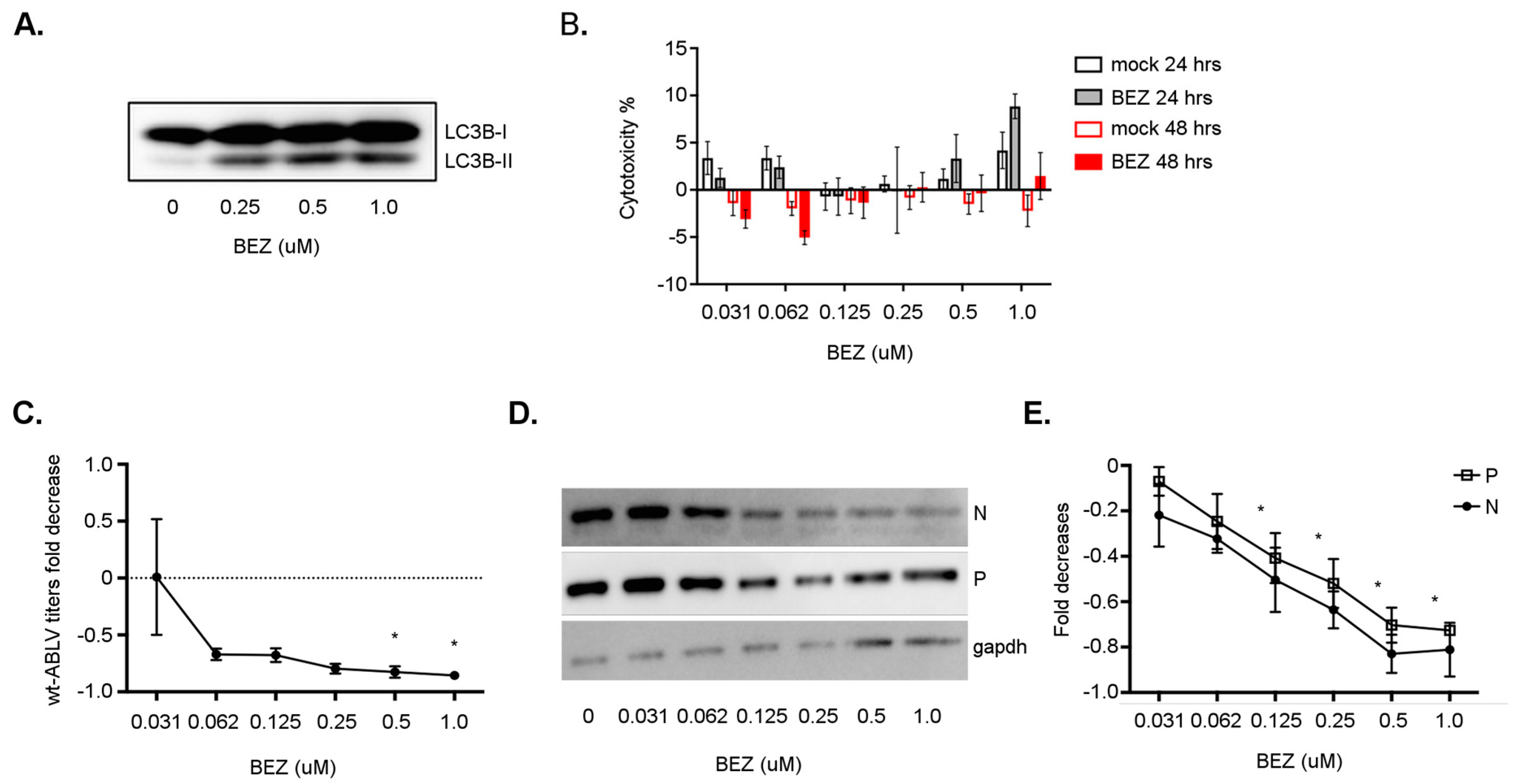 Viruses 11 00260 g007